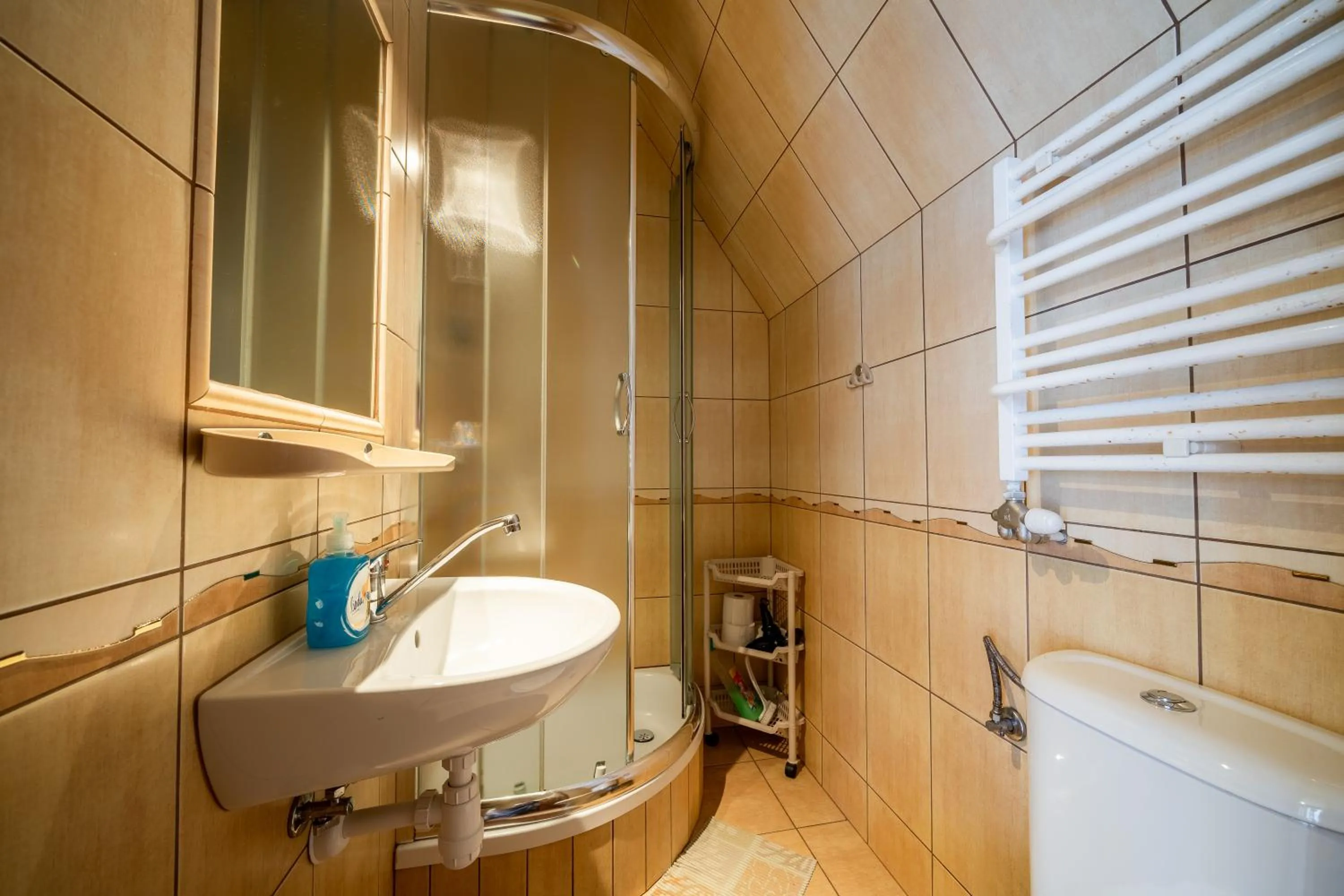 Shower in Willa Majerczyk