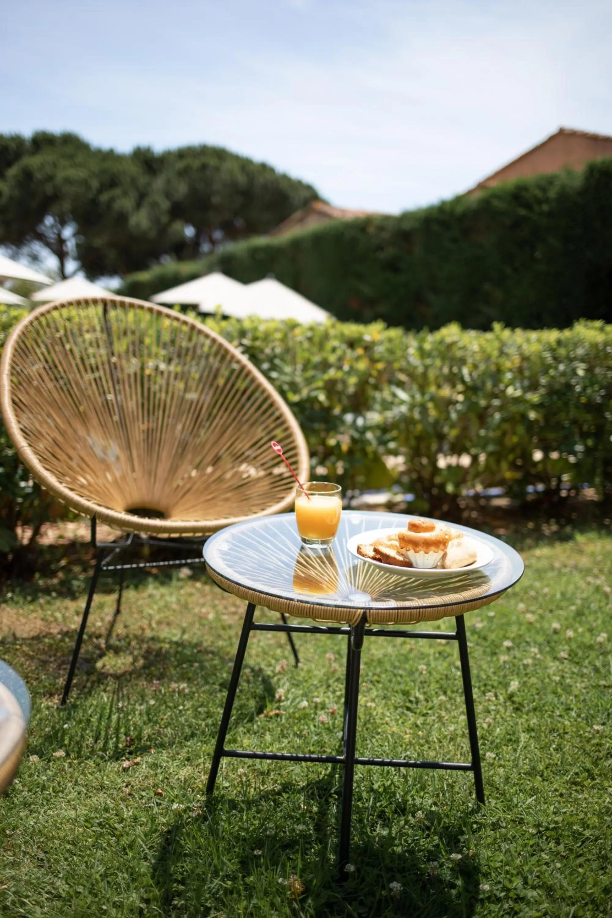 Garden in Hôtel La Pinède