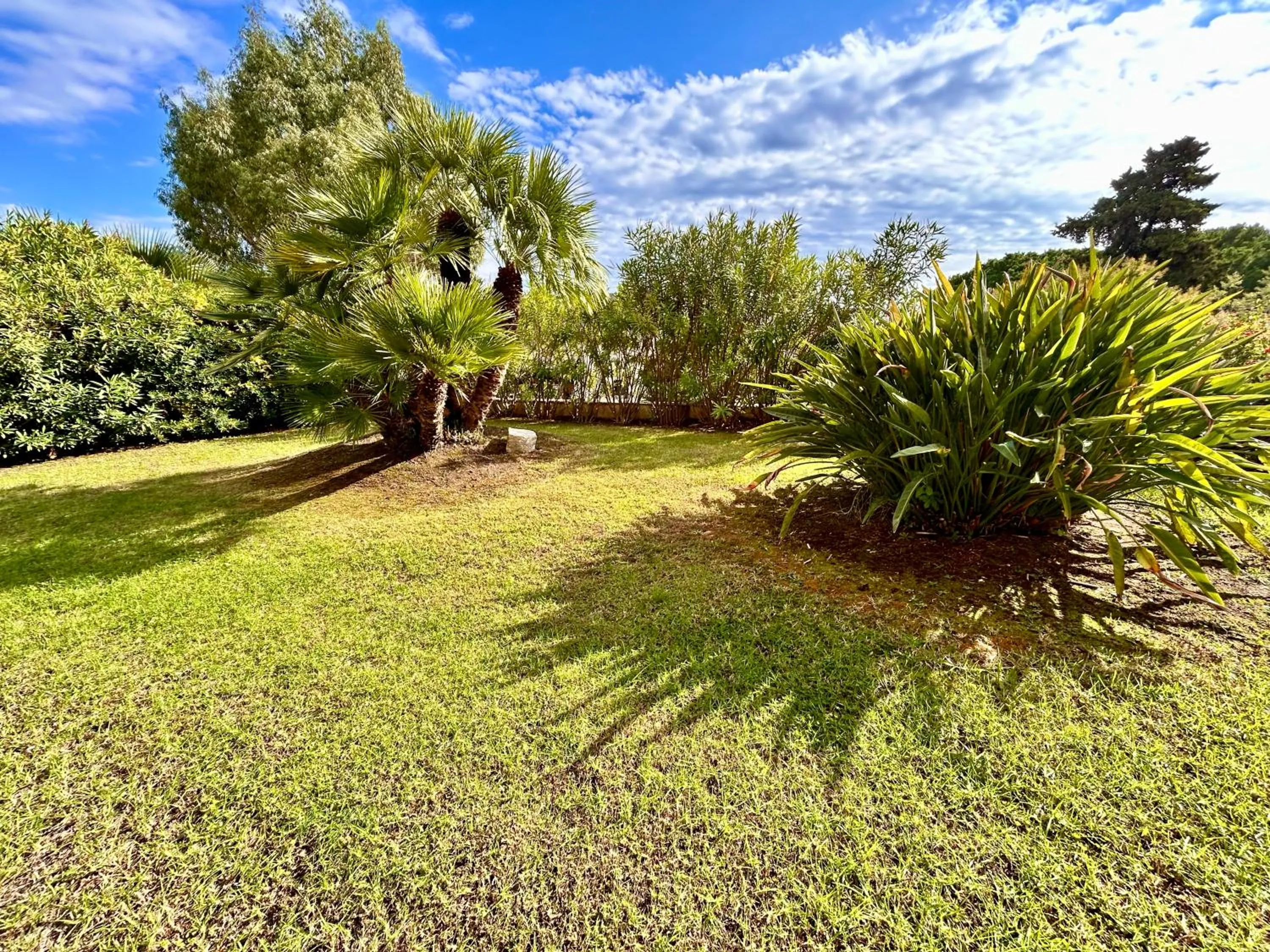 Garden view in Hôtel La Pinède