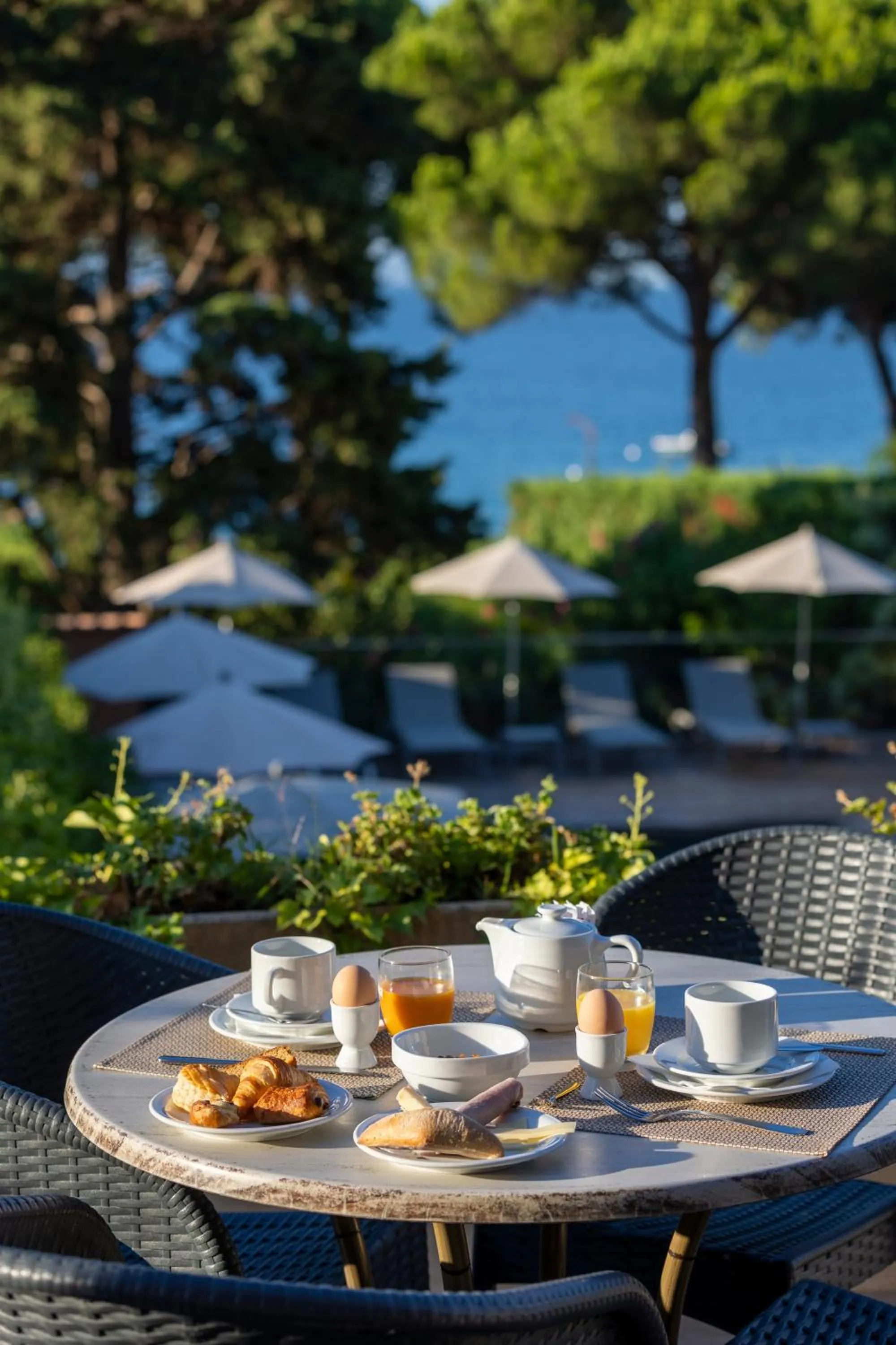 Patio in Hôtel La Pinède