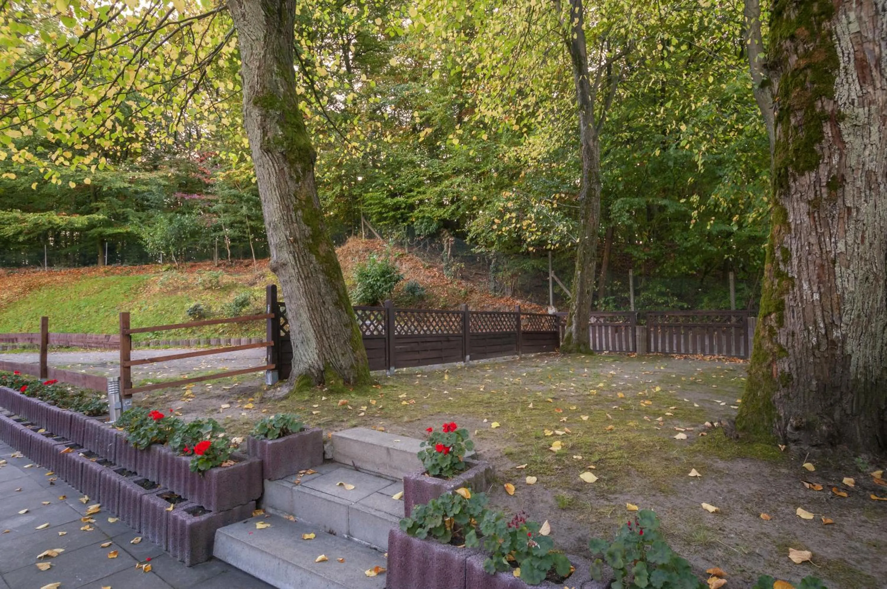Garden in Hotel Grüne Tanne