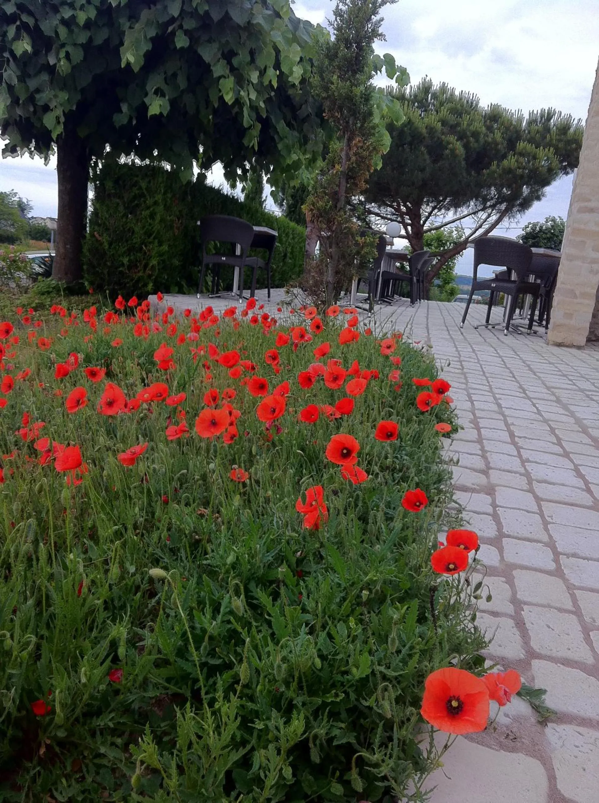 Garden in Logis Hôtel Restaurant des Châteaux