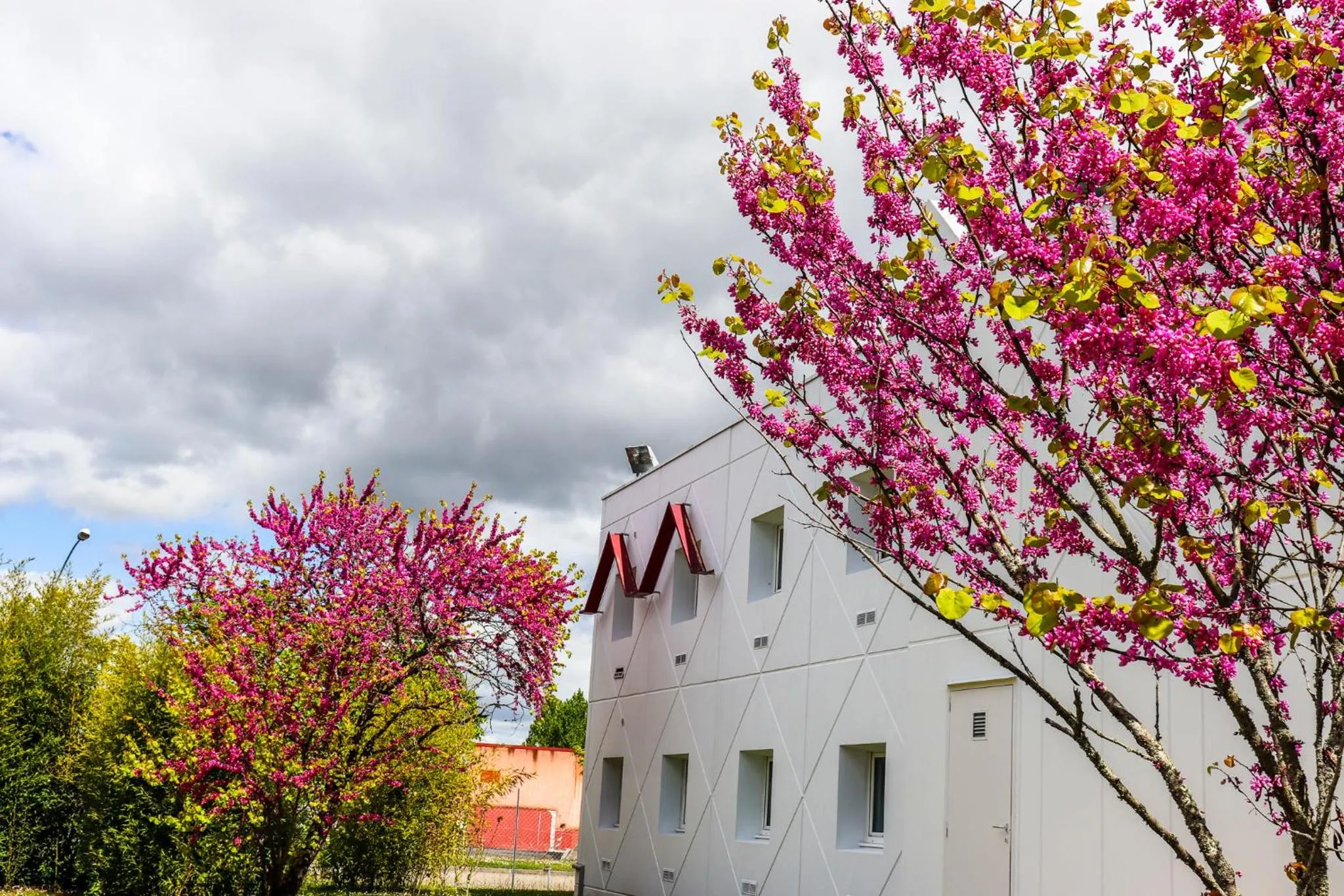Garden in Hoteleco Sud Agen Autoroute