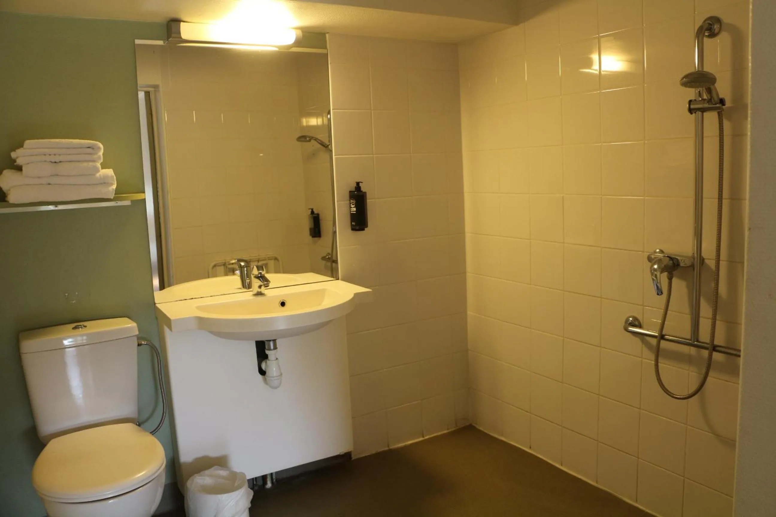 Toilet in Ibis Budget Agen