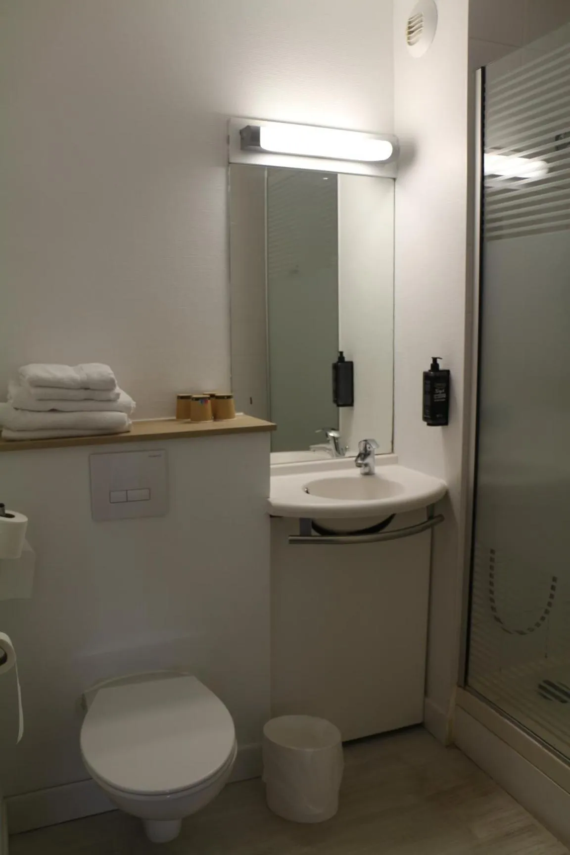 Toilet in Ibis Budget Agen