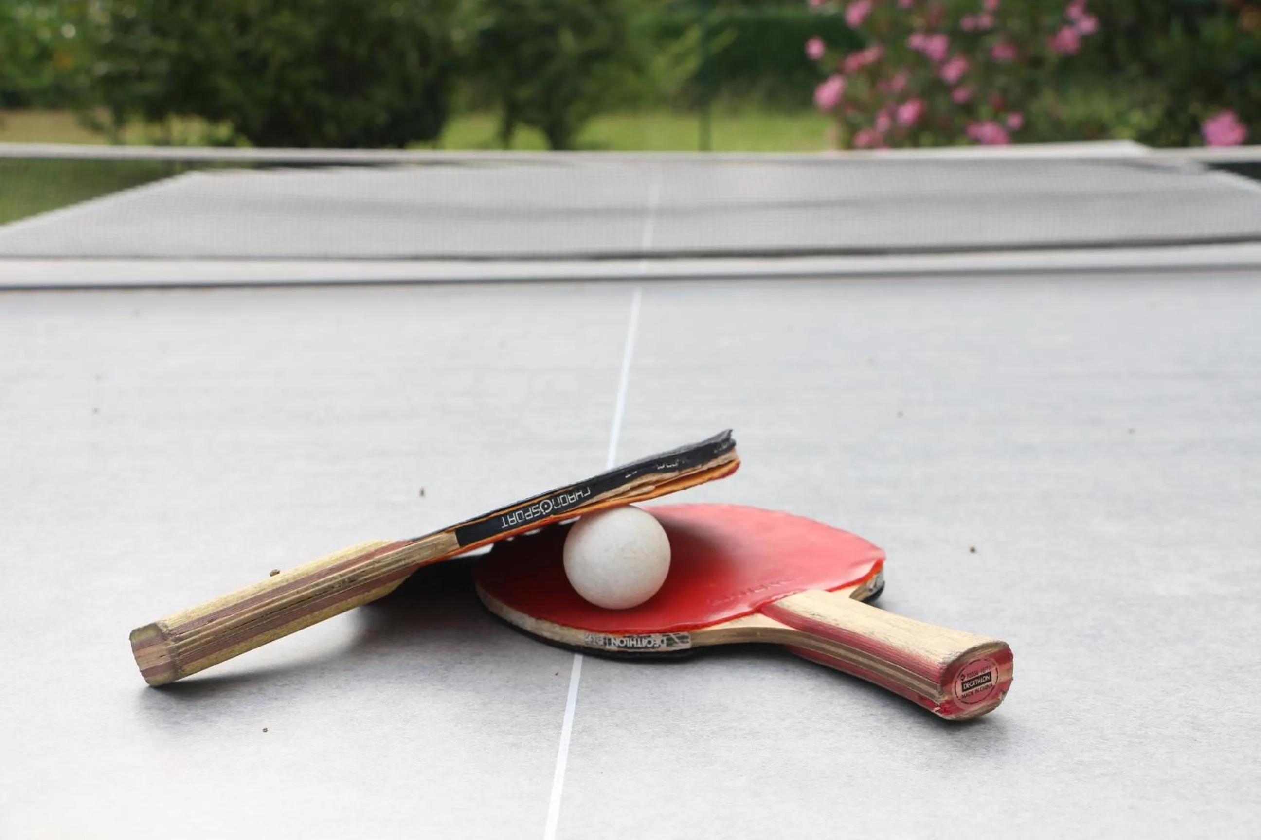 Garden in Ibis Budget Agen