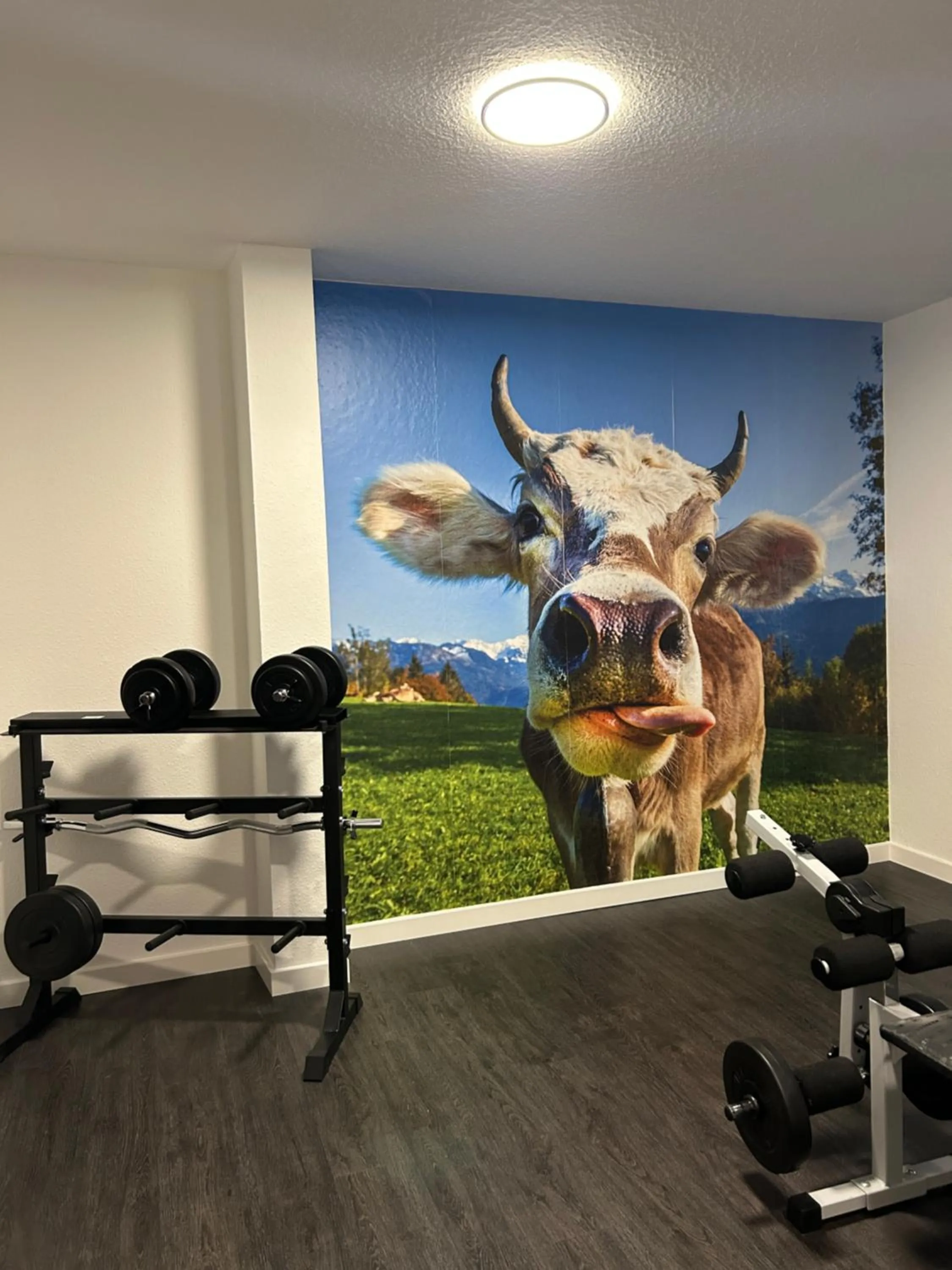 Fitness centre/facilities in Hotel Goldener Hirsch