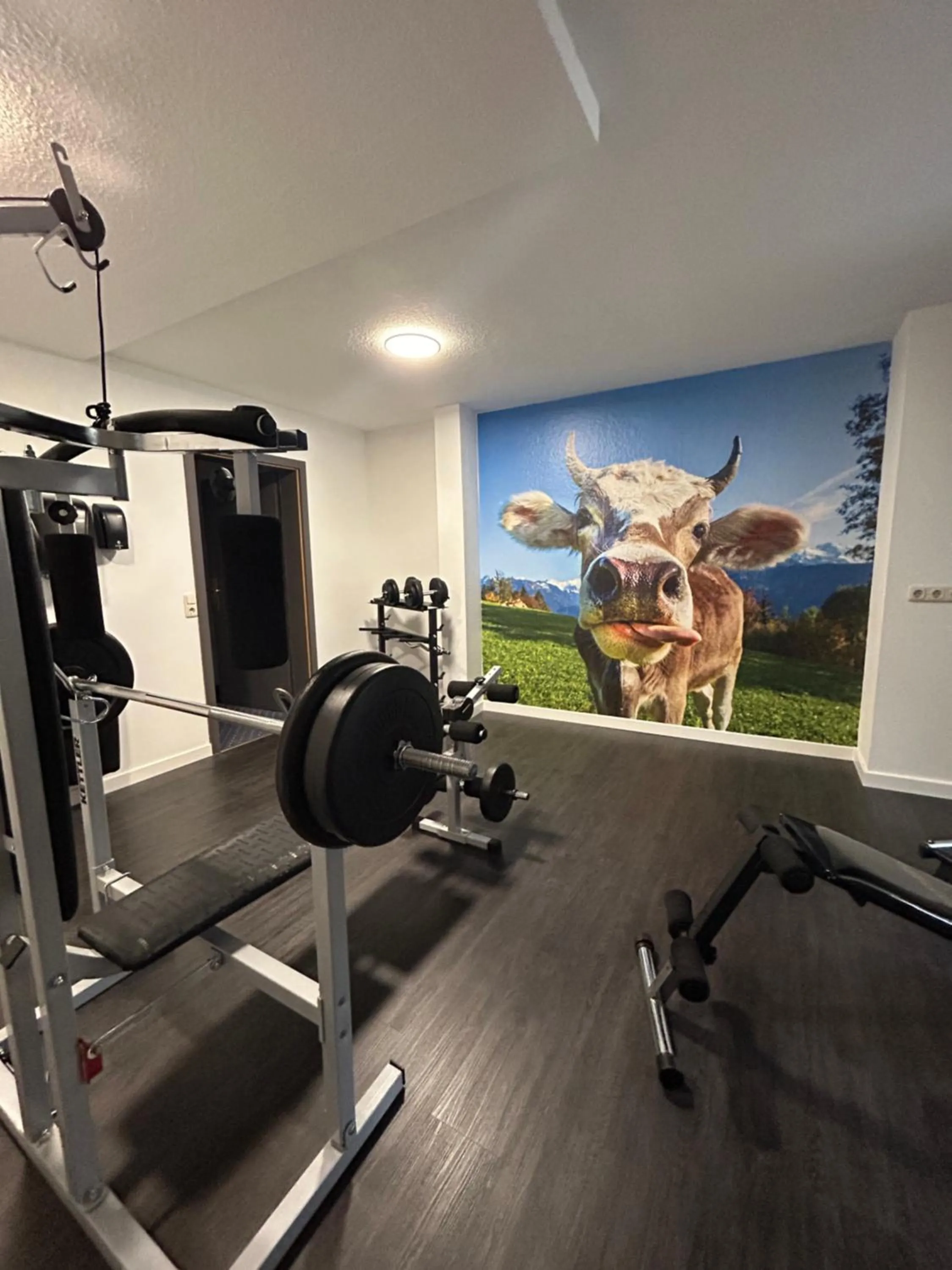 Fitness centre/facilities in Hotel Goldener Hirsch
