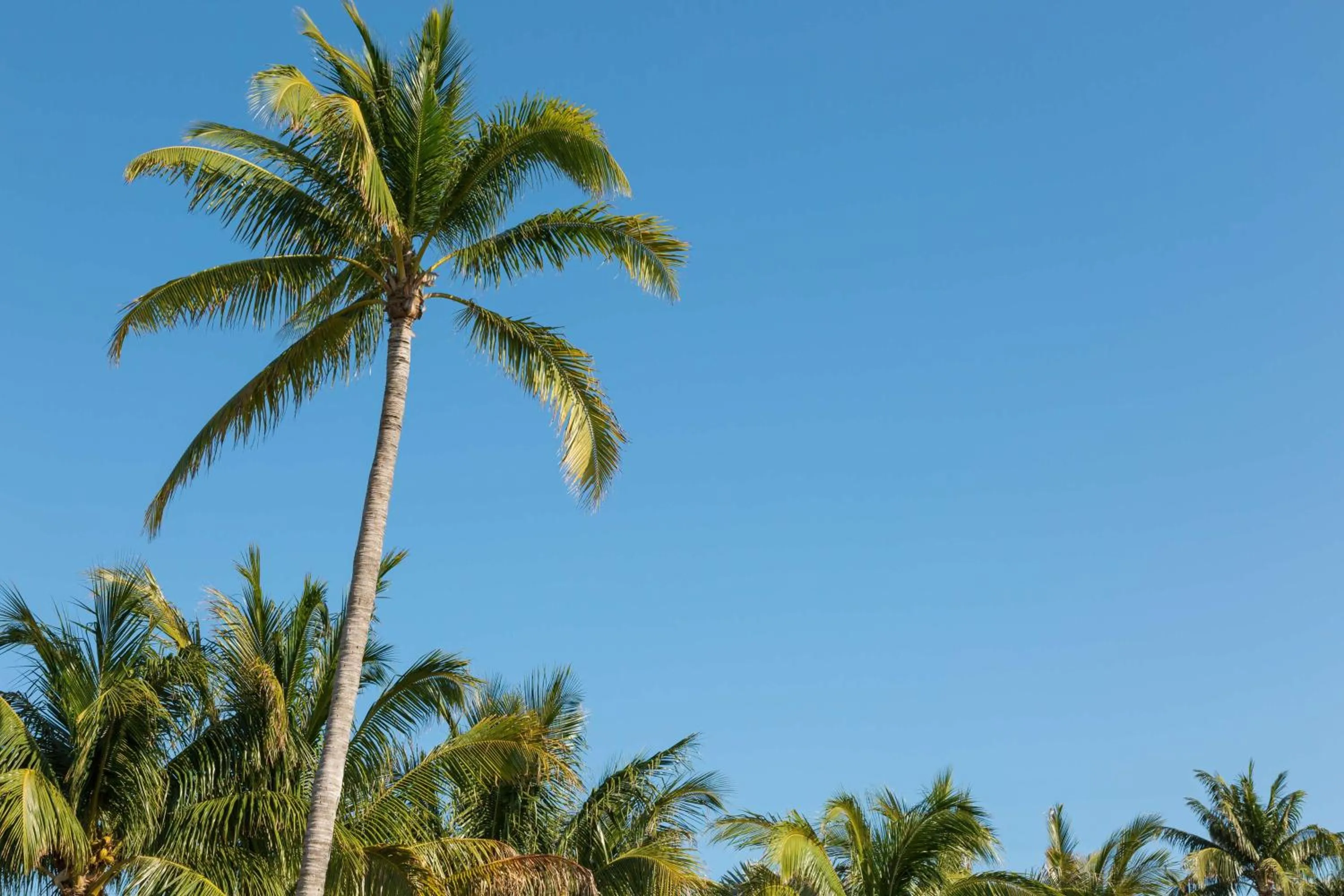 Property building in Hilton Garden Inn Key West / The Keys Collection