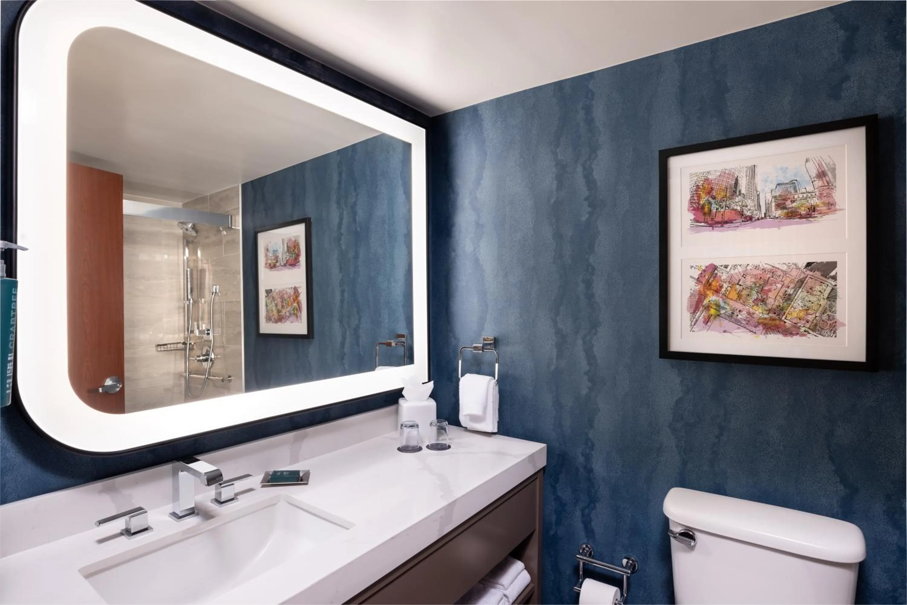 Bathroom in DoubleTree by Hilton Houston Medical Center Hotel & Suites