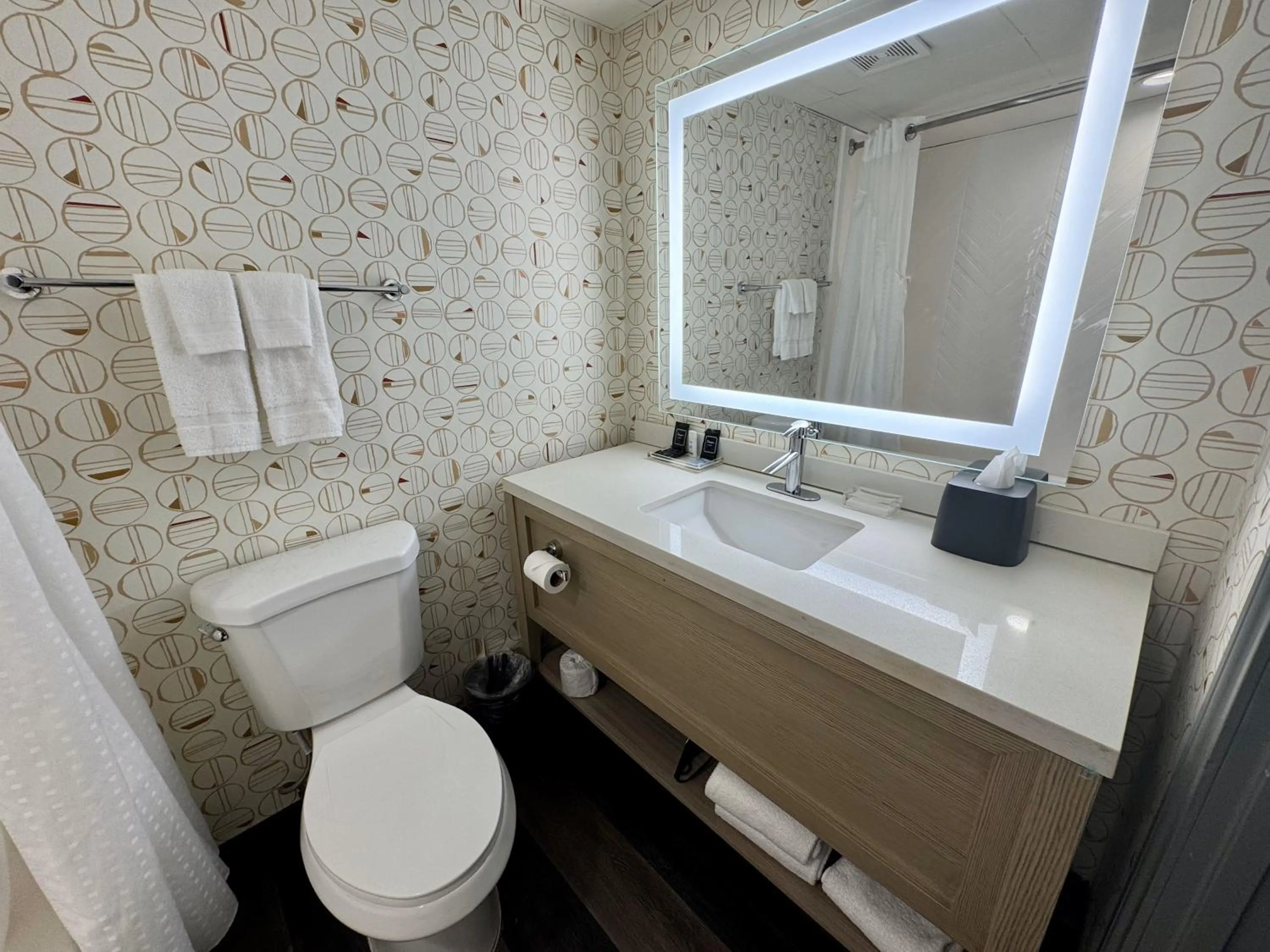 Bathroom in Wyndham Houston Hobby Airport