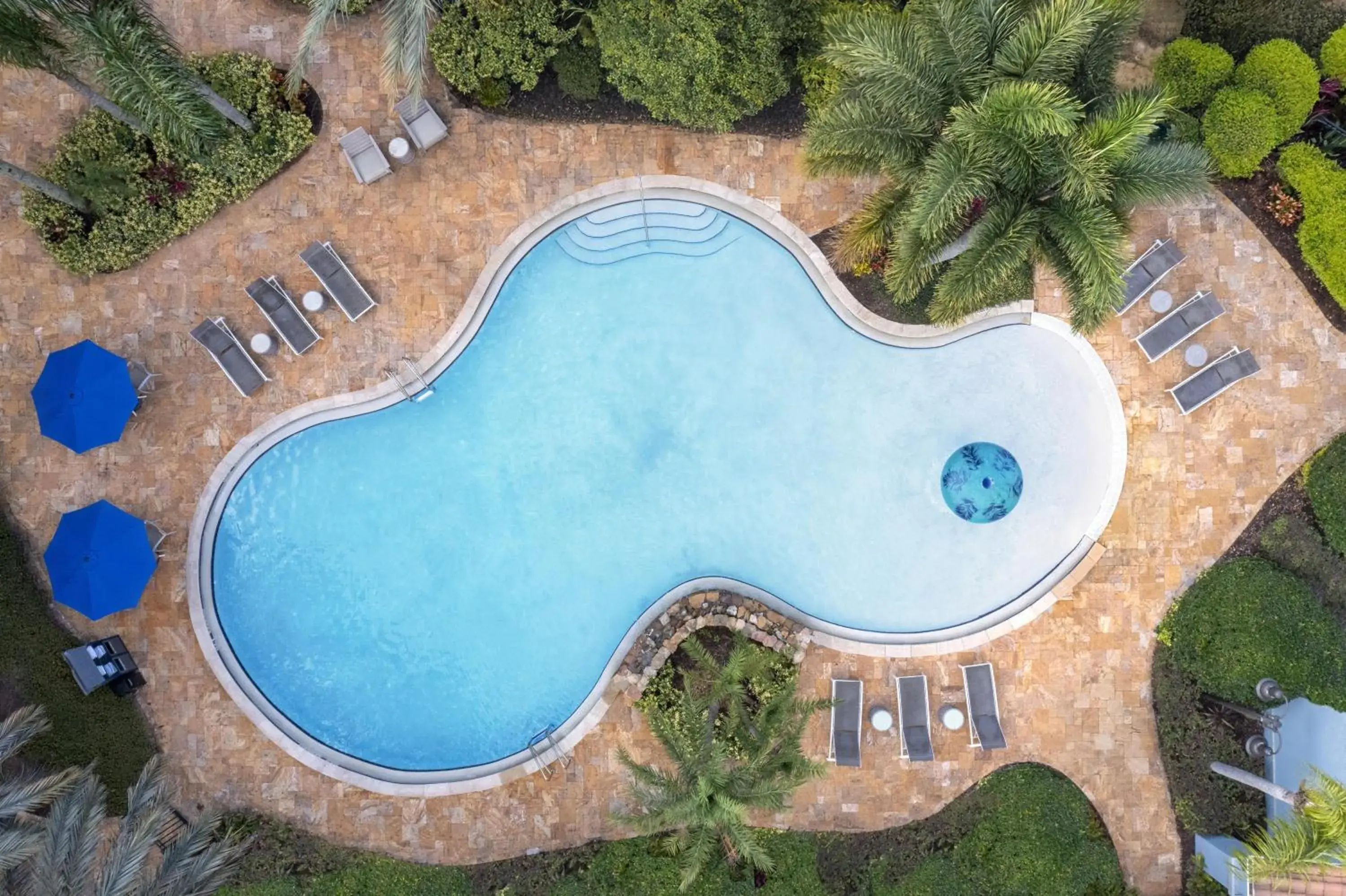 Pool view in Homewood Suites by Hilton Lake Buena Vista Orlando - Newly Renovated! Pool view in Homewood Suites by Hilton Lake Buena Vista Orlando - Newly Renovated!