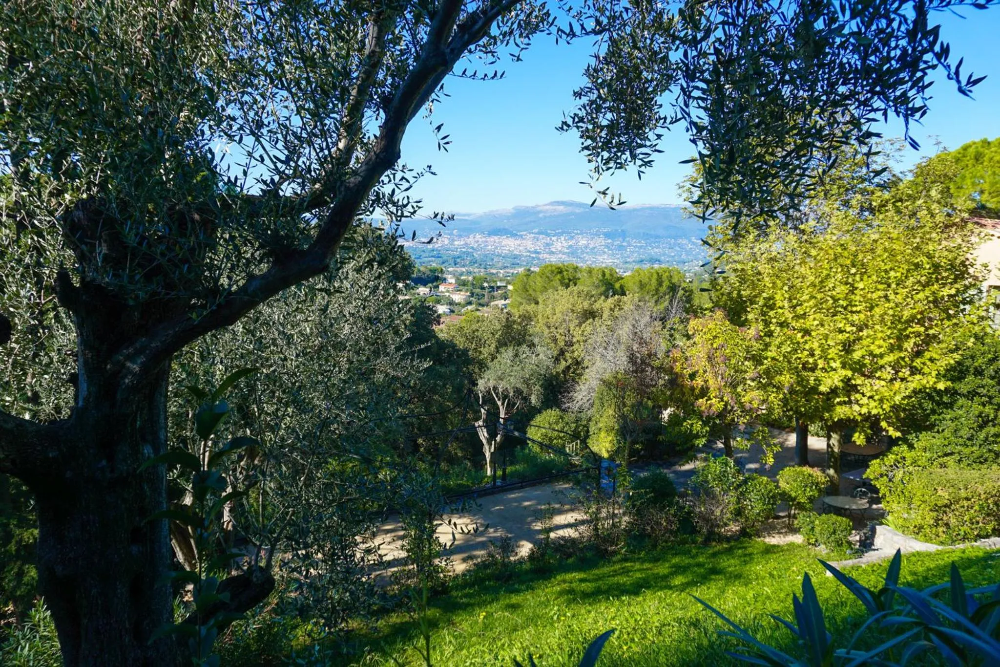 Garden in Le Mas Candille