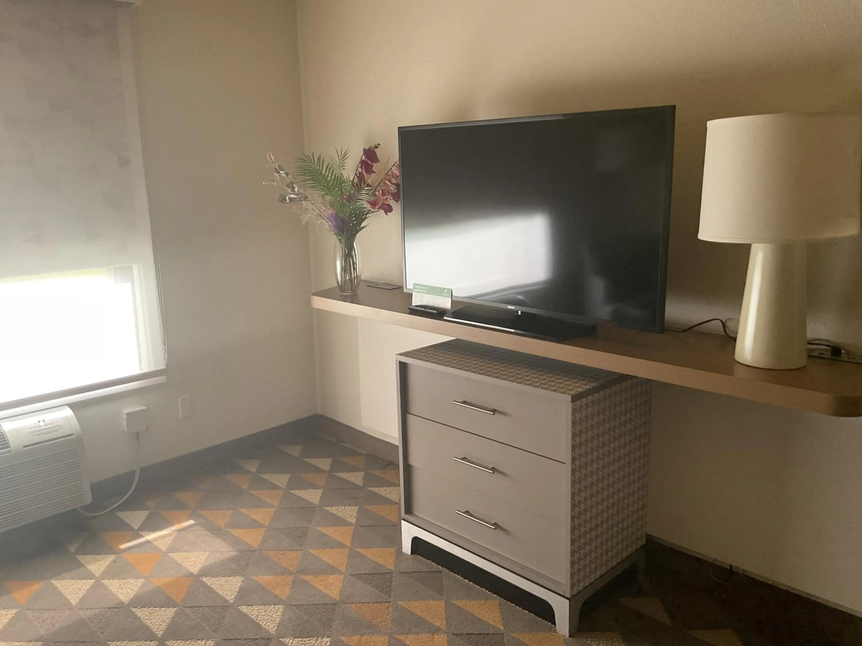 TV and multimedia in Holiday Inn Houston Intercontinental Airport by IHG