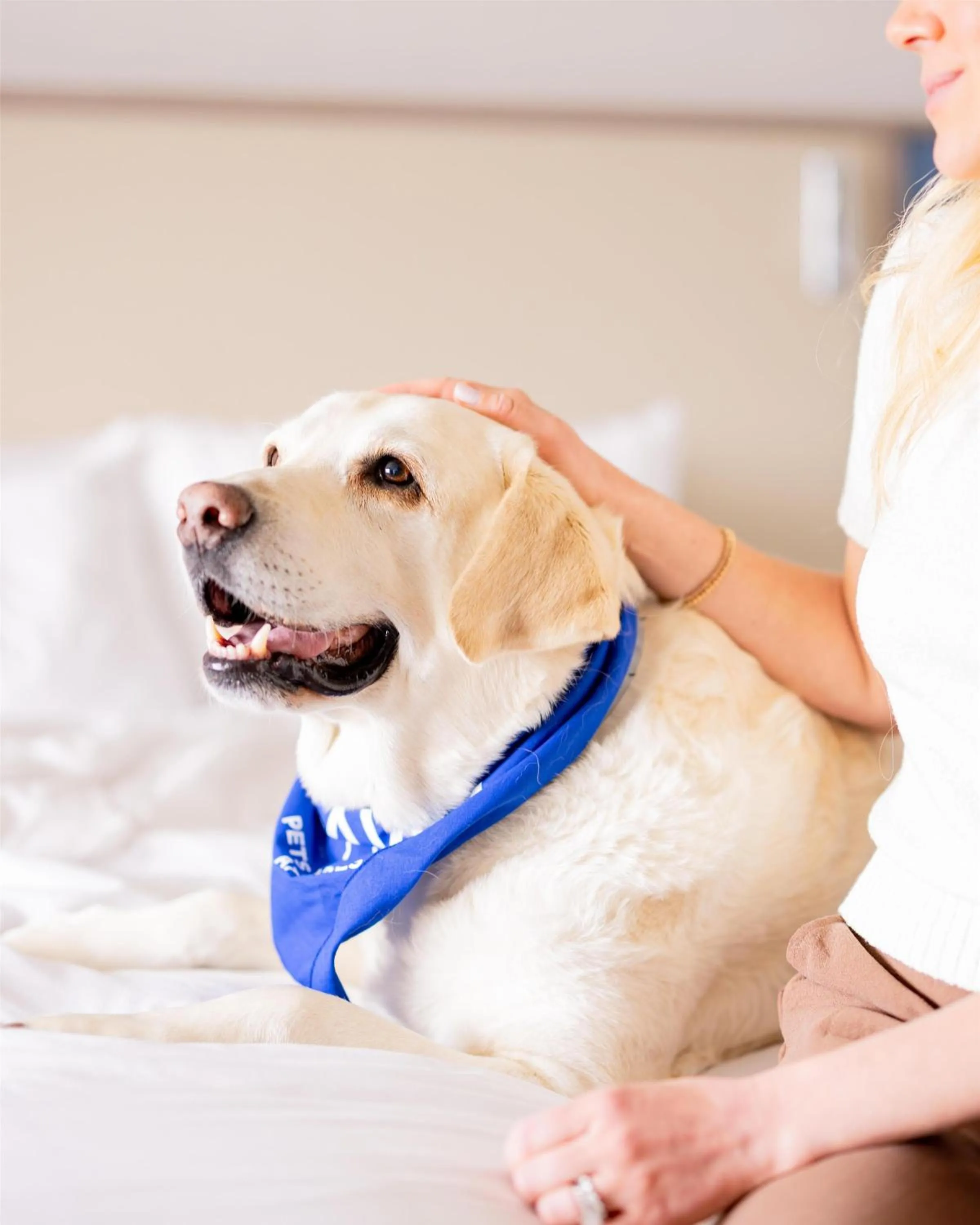 Other in Sonesta Atlanta Airport North