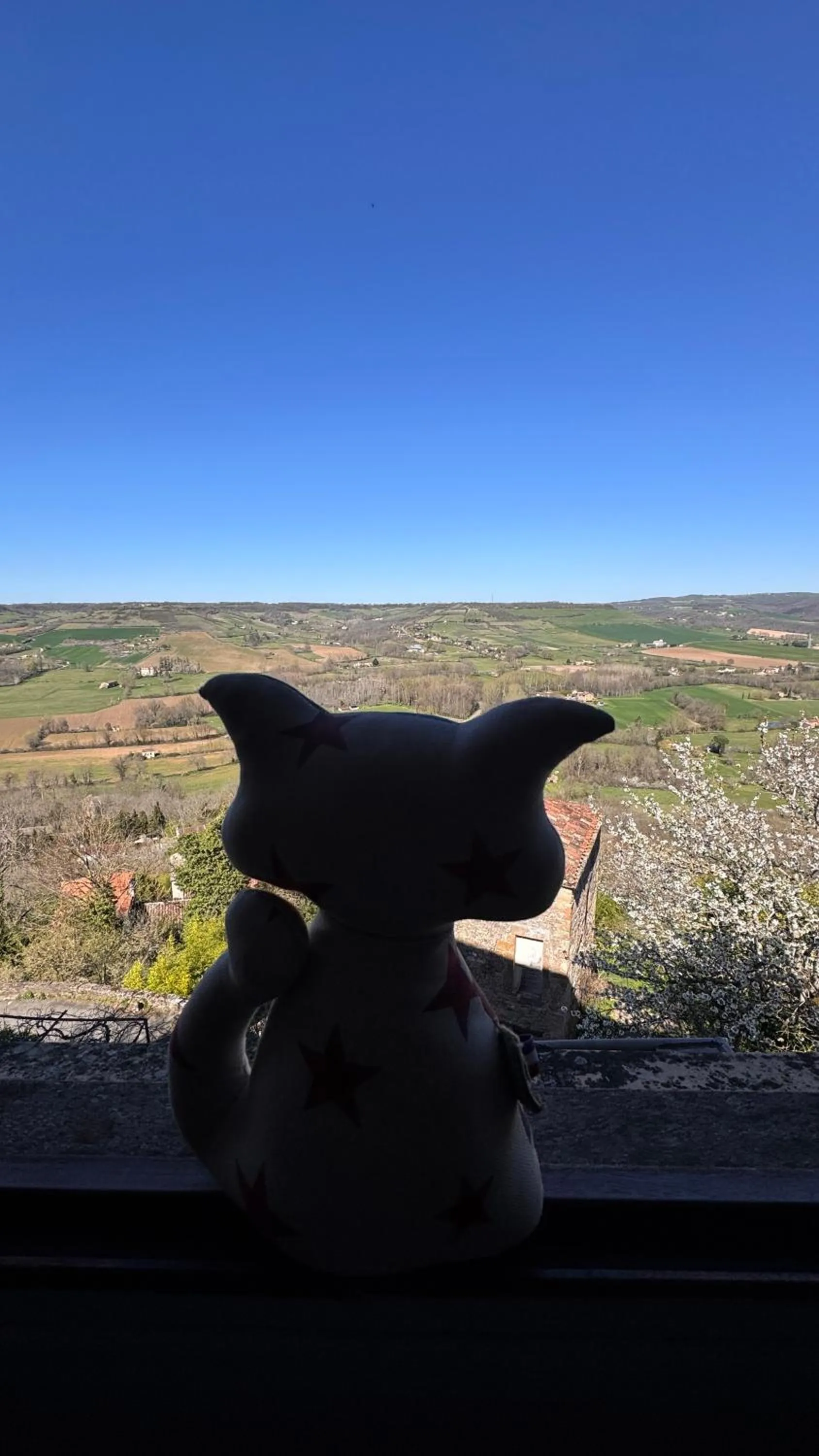 View (from property/room) in D'Ici et D'Ailleurs