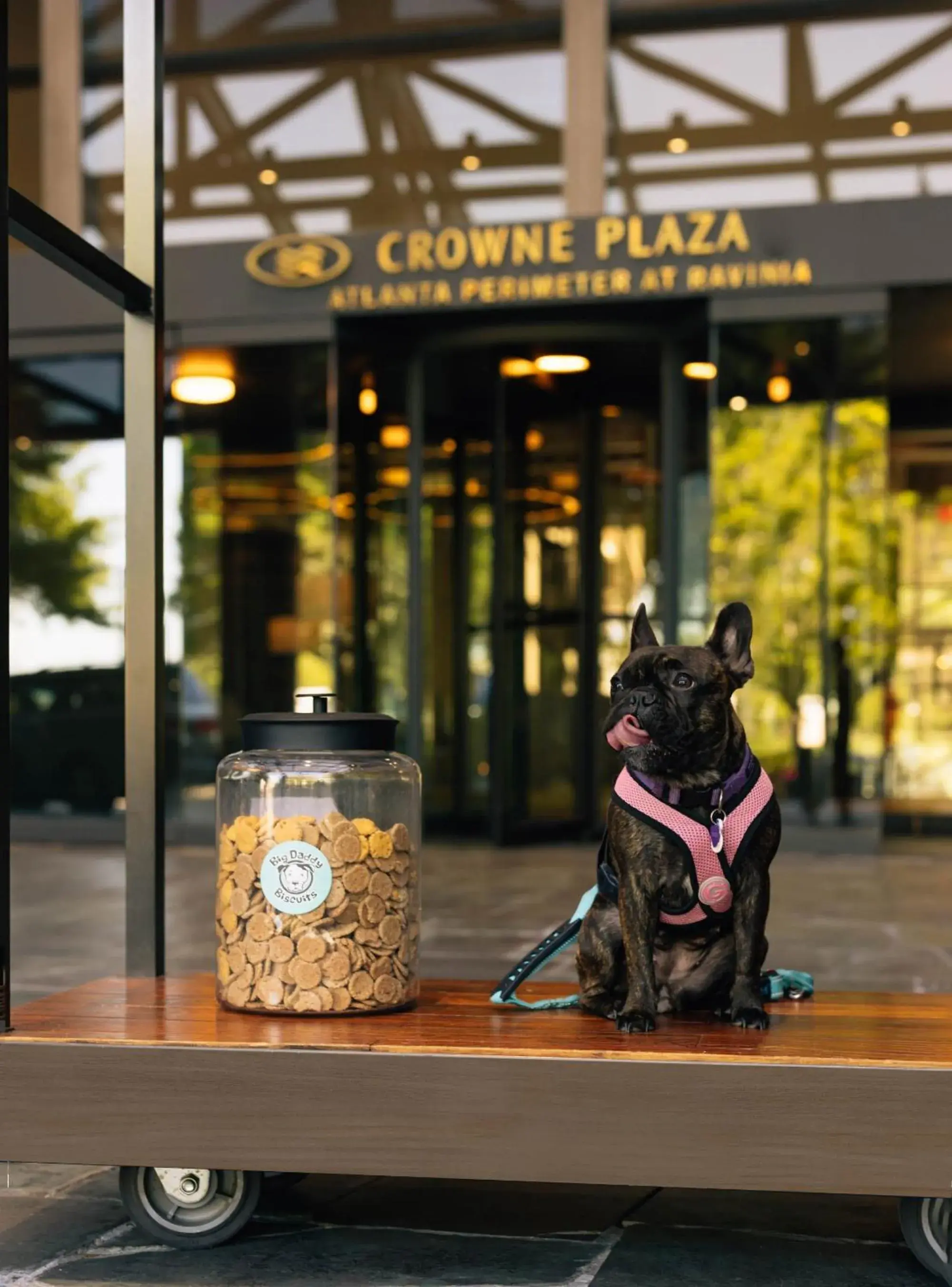 Lobby or reception in Crowne Plaza Atlanta Perimeter at Ravinia by IHG Lobby or reception in Crowne Plaza Atlanta Perimeter at Ravinia by IHG