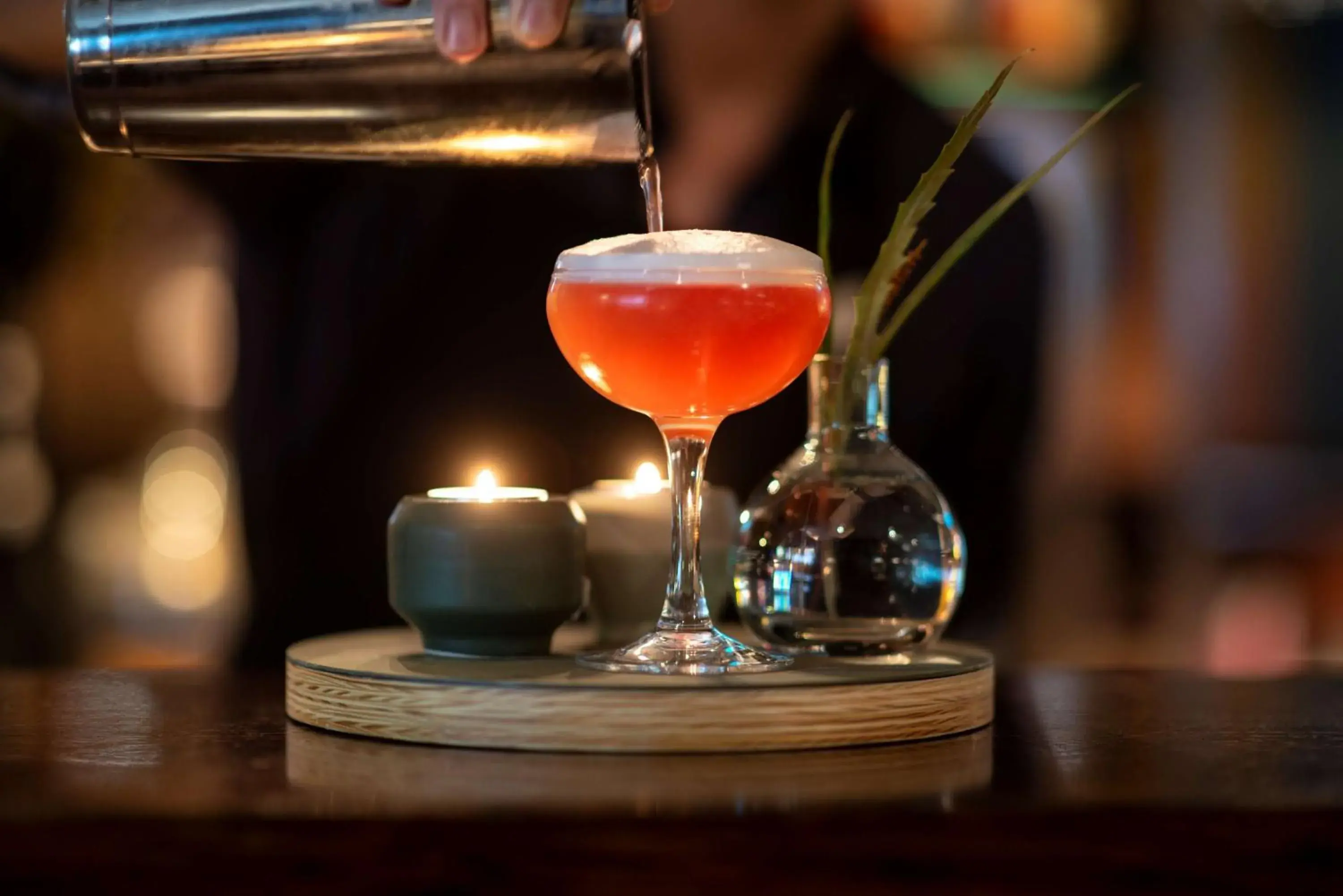 Lounge or bar in Best Western Plus Hotel Noble House Lounge or bar in Best Western Plus Hotel Noble House