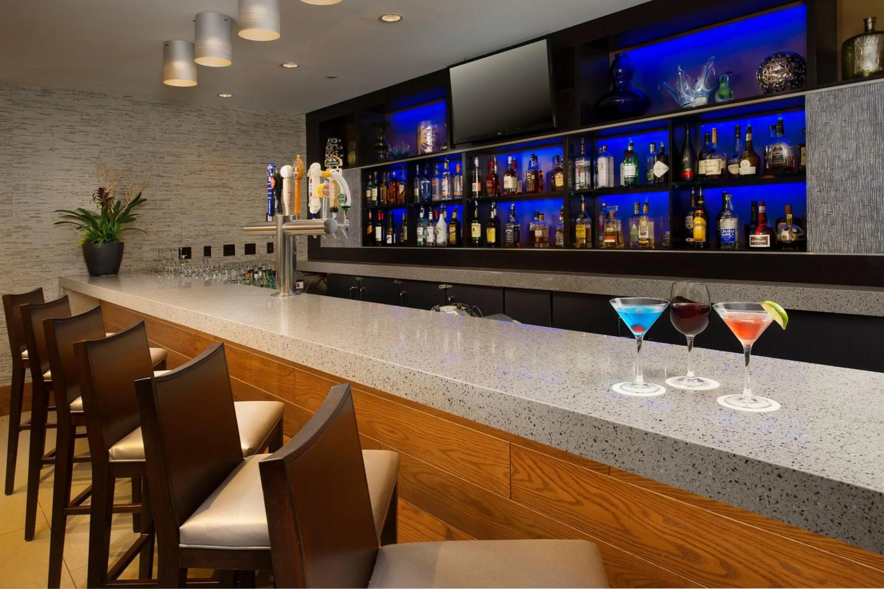 Lounge or bar in Skybridge Seattle Airport Hotel