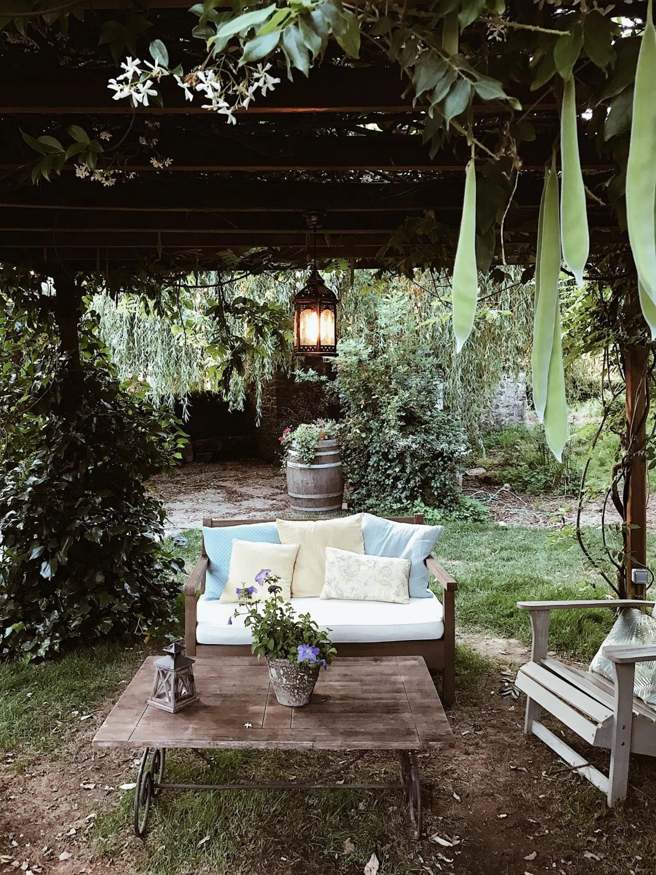 Garden in Eco Hotel Nos