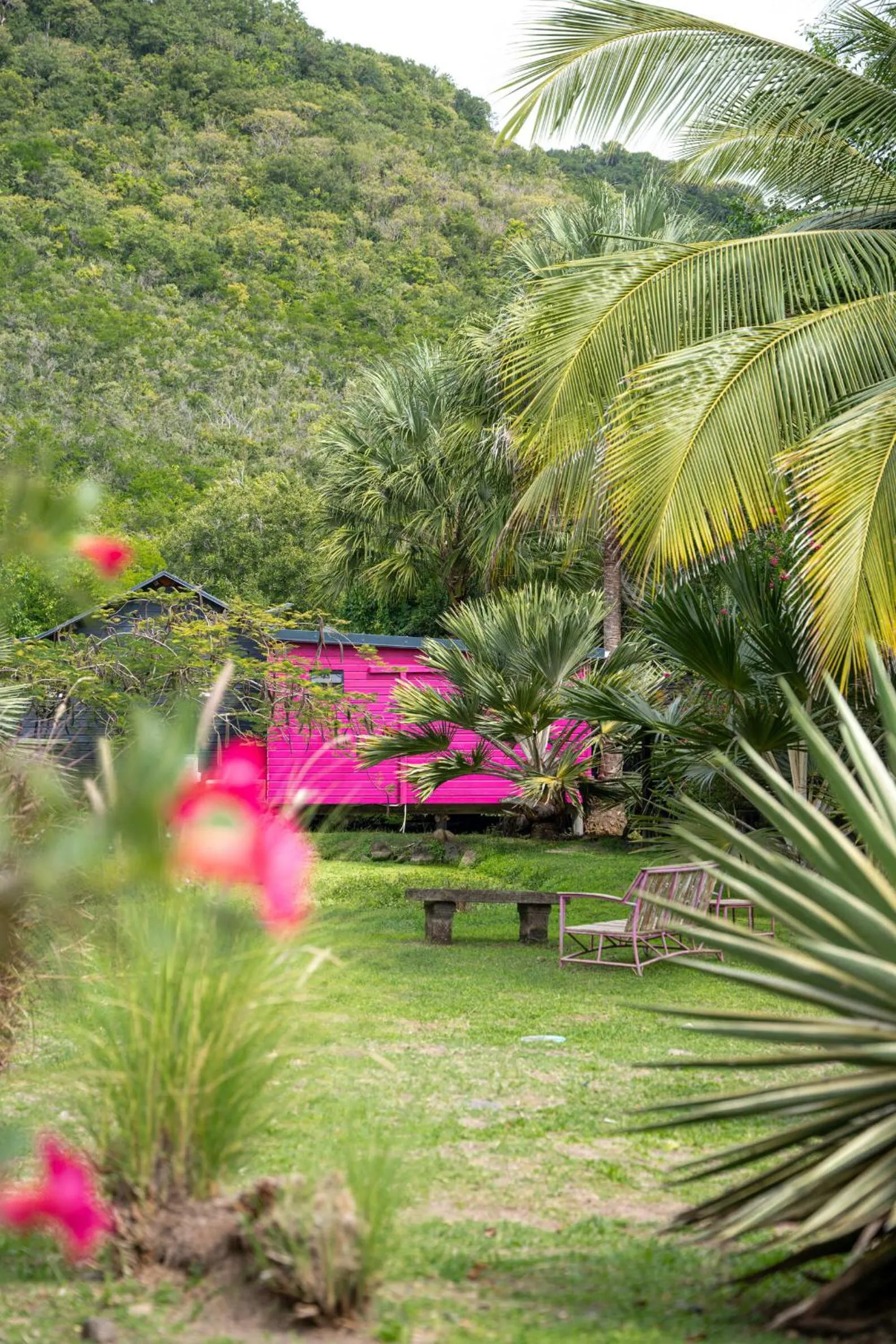 Garden in Domaine de la Palmeraie - Villas Lodge