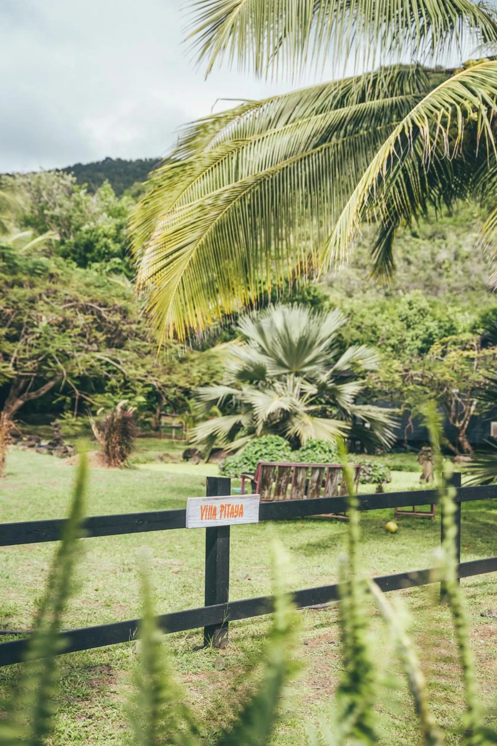 Garden in Domaine de la Palmeraie - Villas Lodge