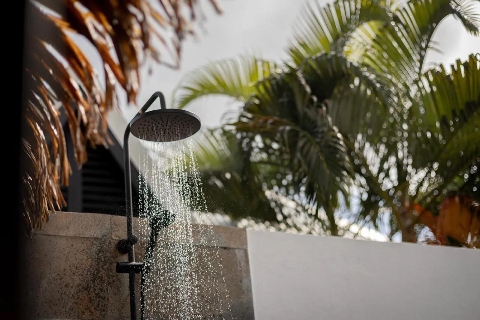 Day in Domaine de la Palmeraie - Villas Lodge