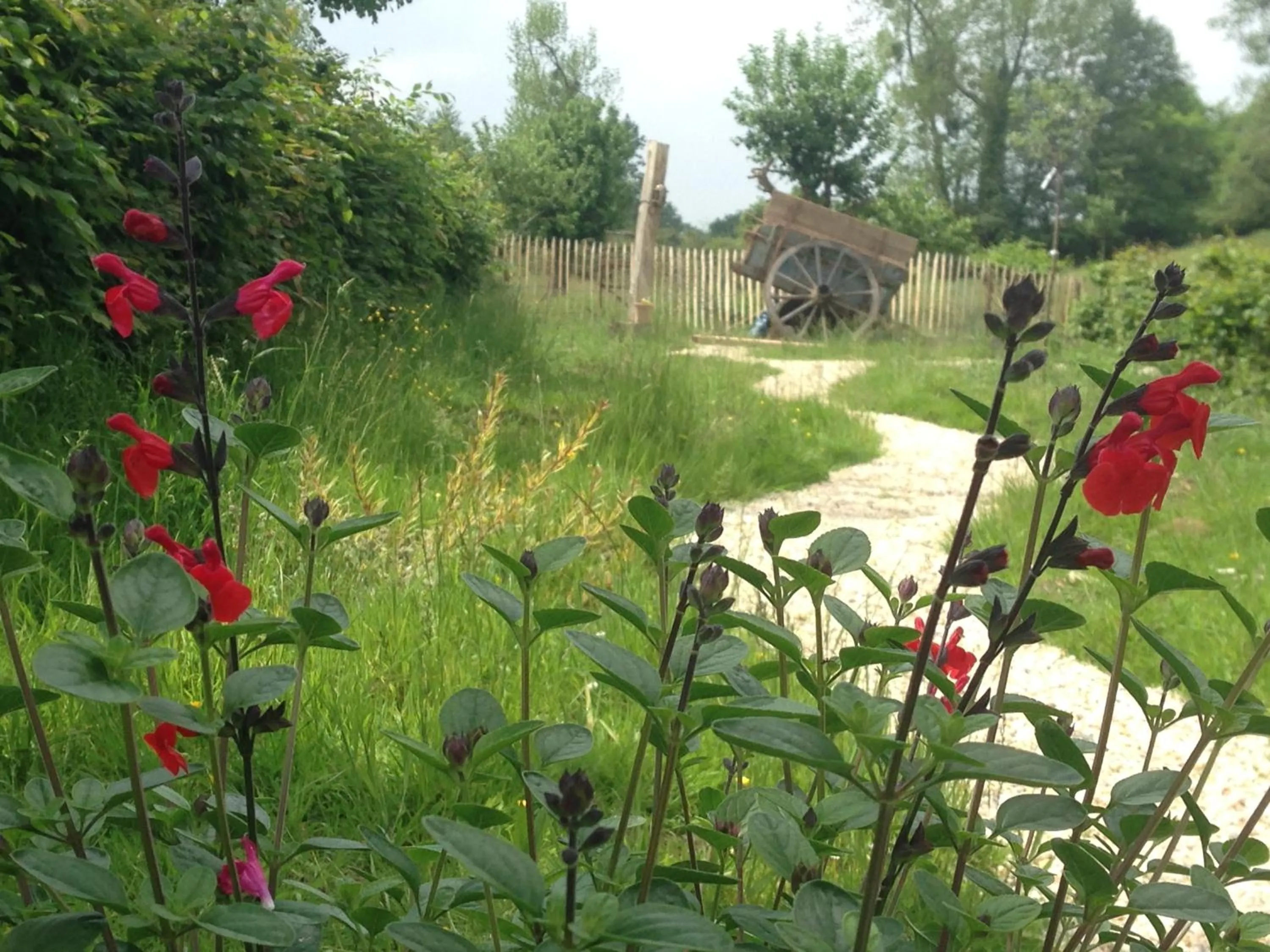 Garden view in Le Pré Doré