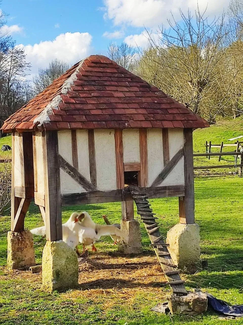 Garden in Le Pré Doré