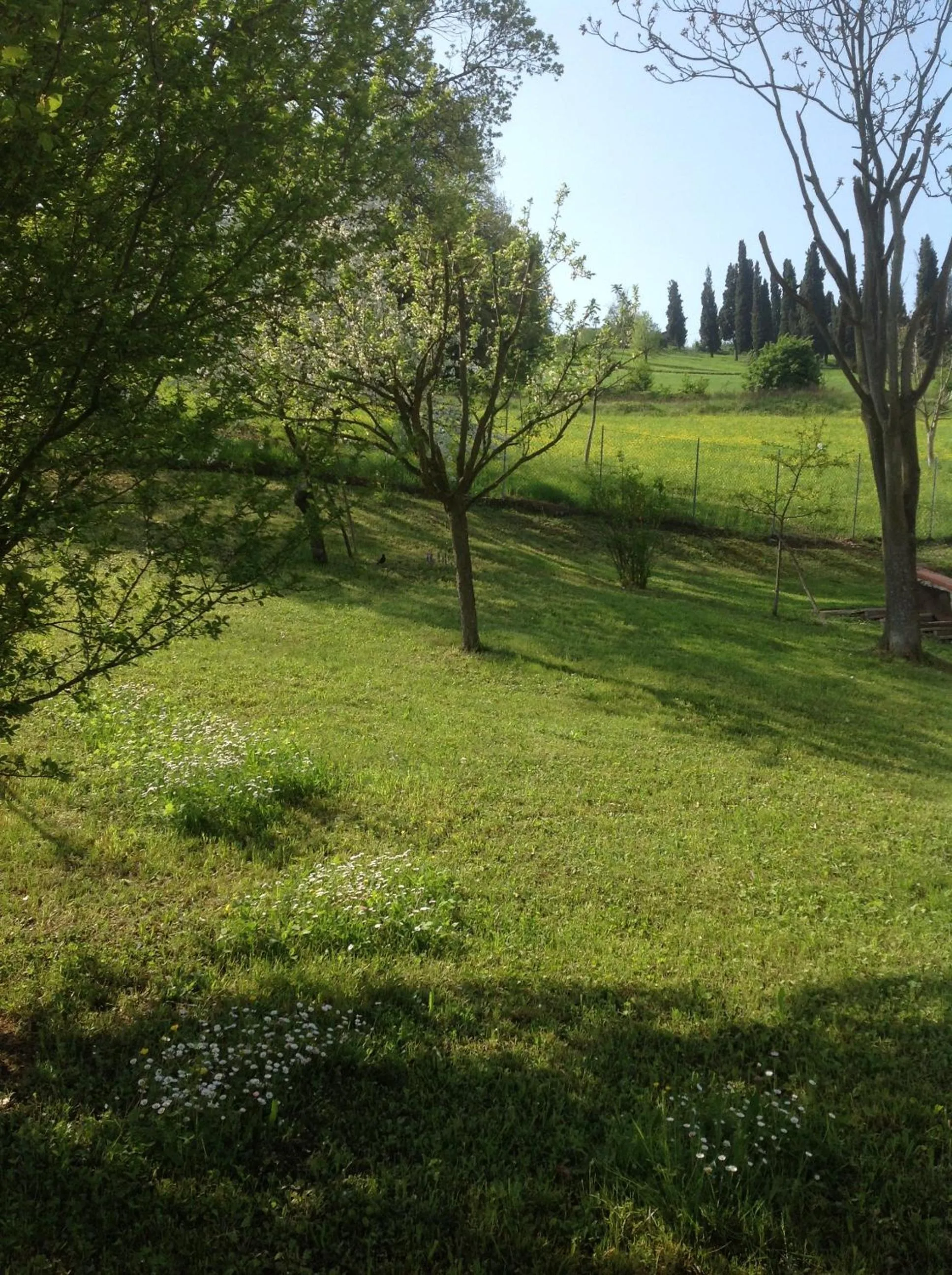 Garden view in B&B Smile
