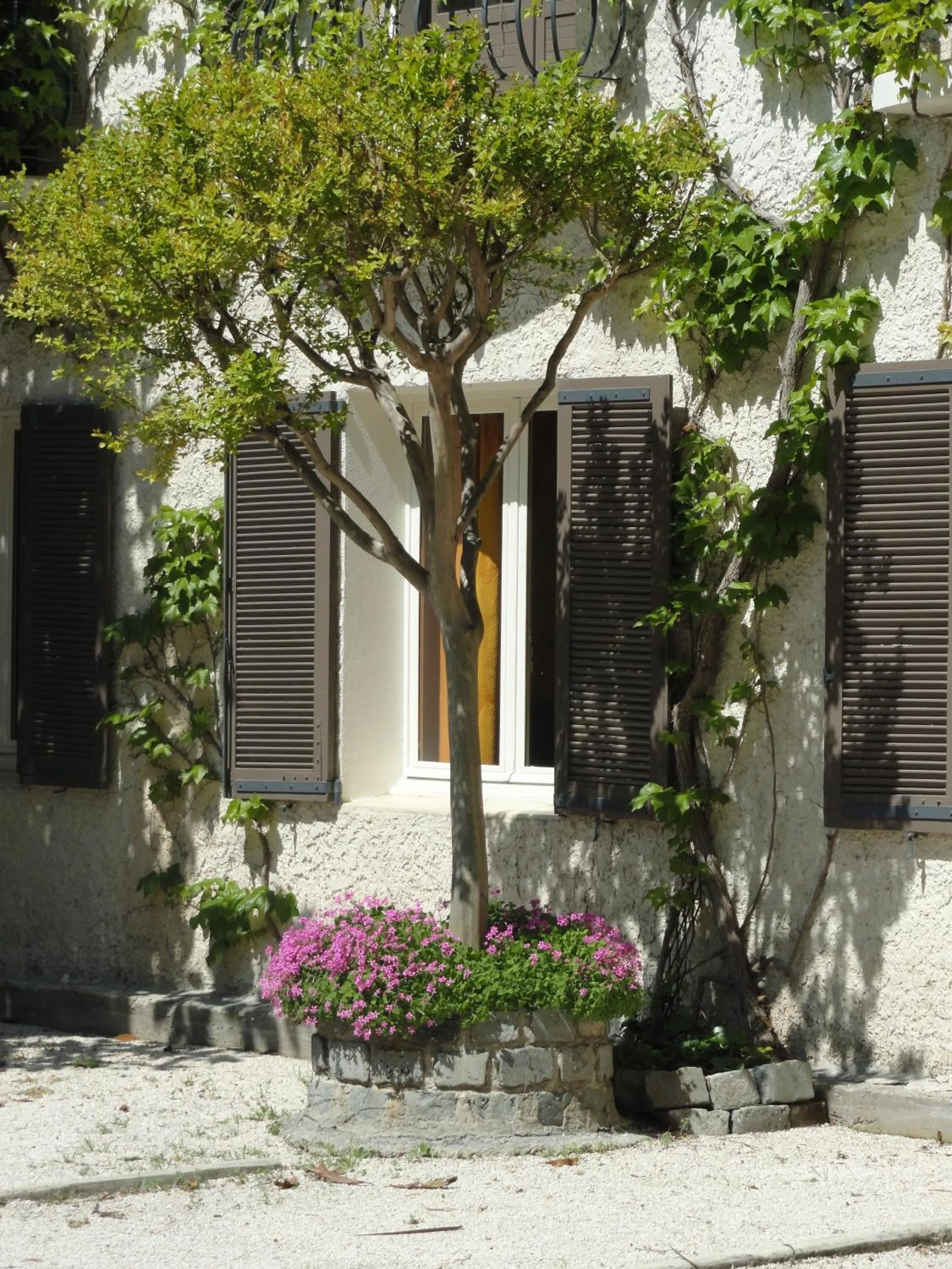 Facade/entrance in Hotel de l'île