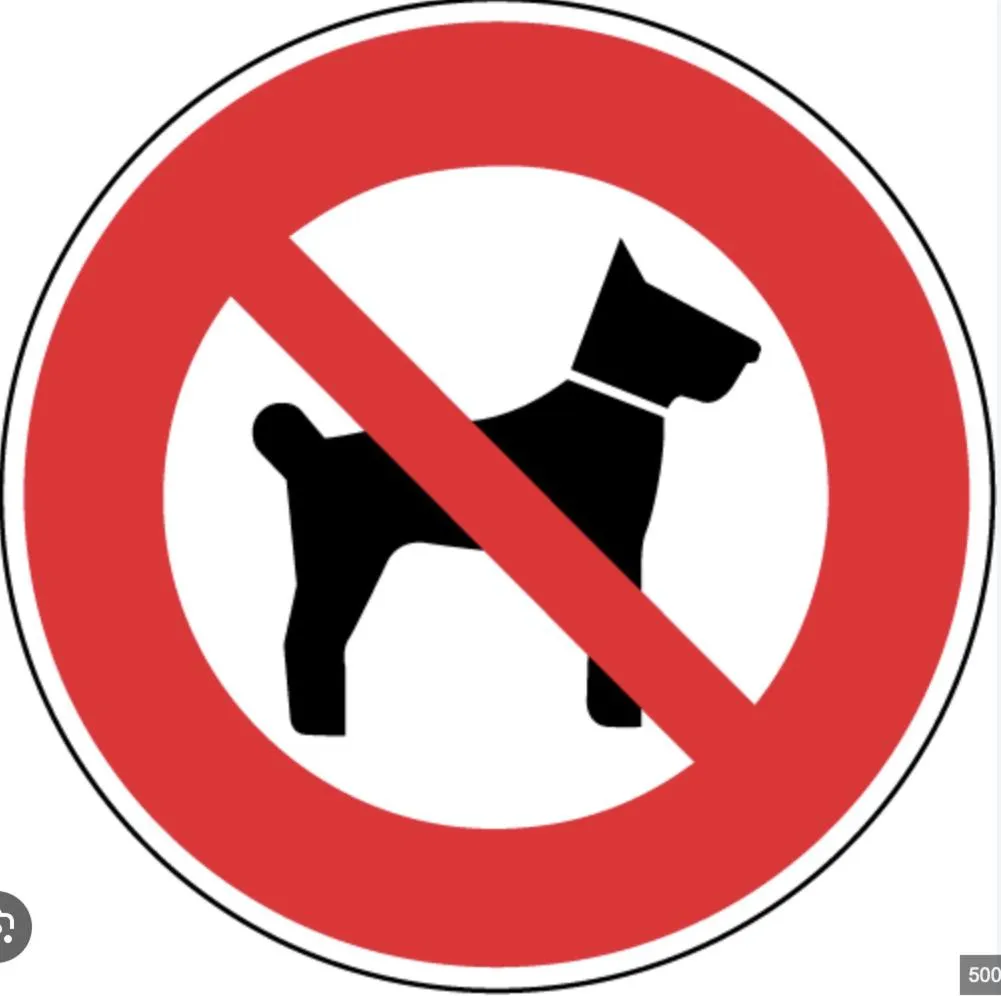 Pets in Hôtel 16 | 150 Montagne & Spa Nuxe