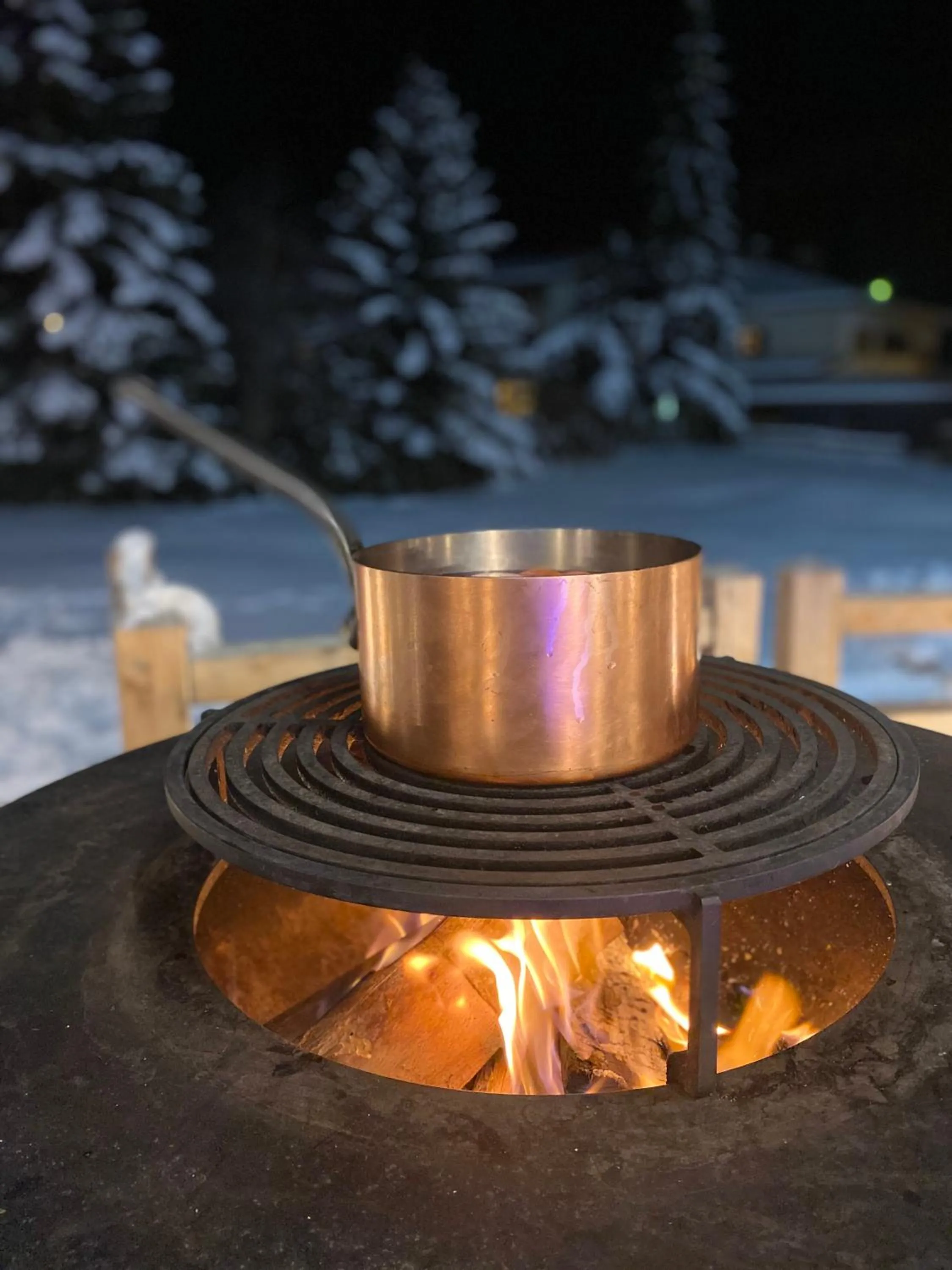 BBQ facilities in Hôtel 16 | 150 Montagne & Spa Nuxe