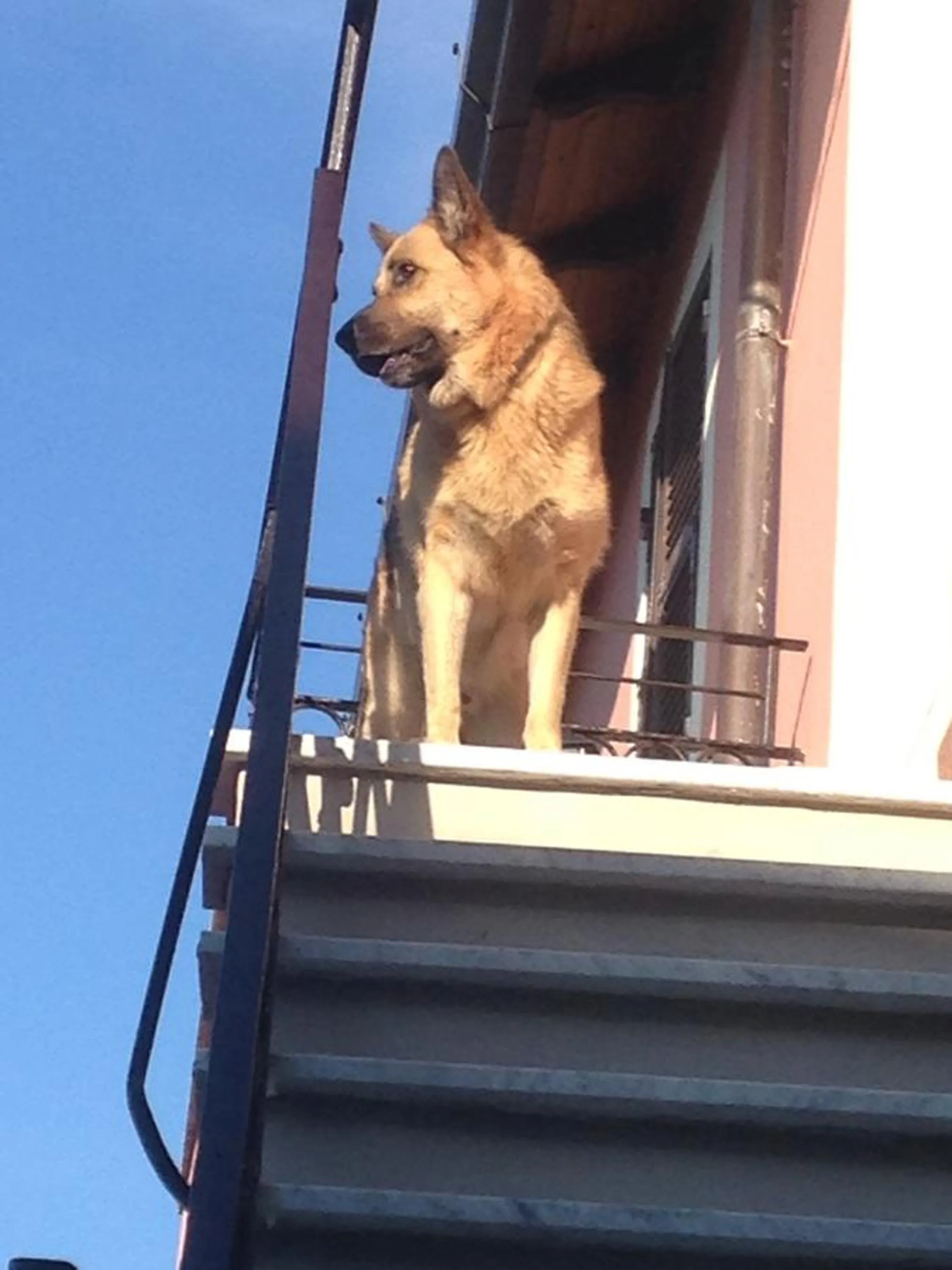 Day in B.E.A. Maison