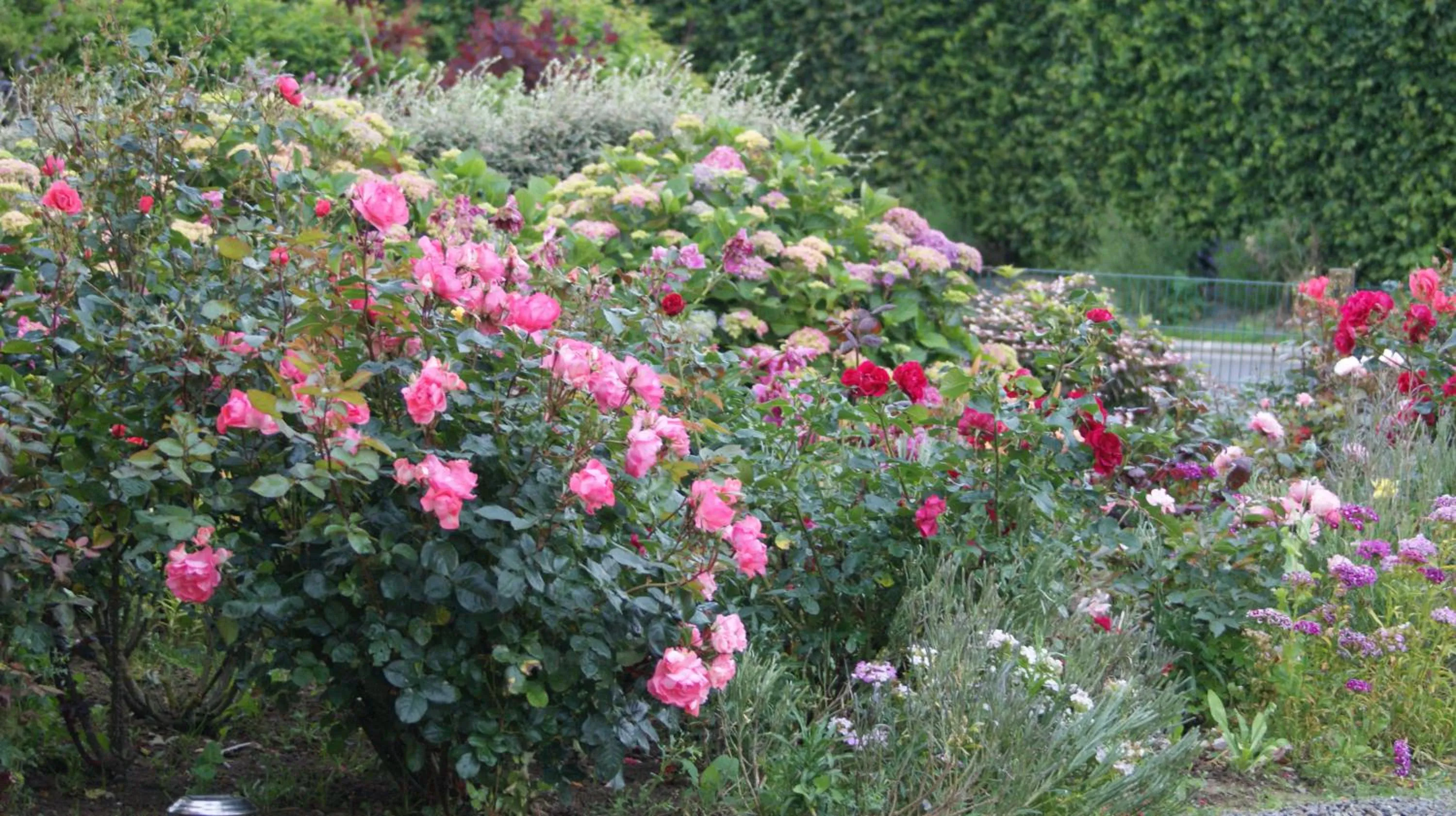 Garden in Chambre D'hotes Le Clos Fleuri