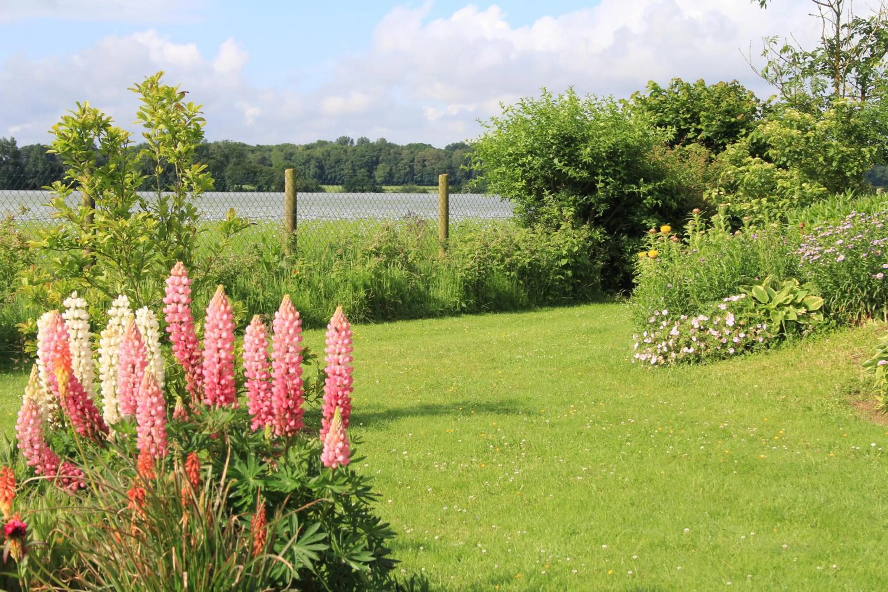 Garden in Chambre D'hotes Le Clos Fleuri