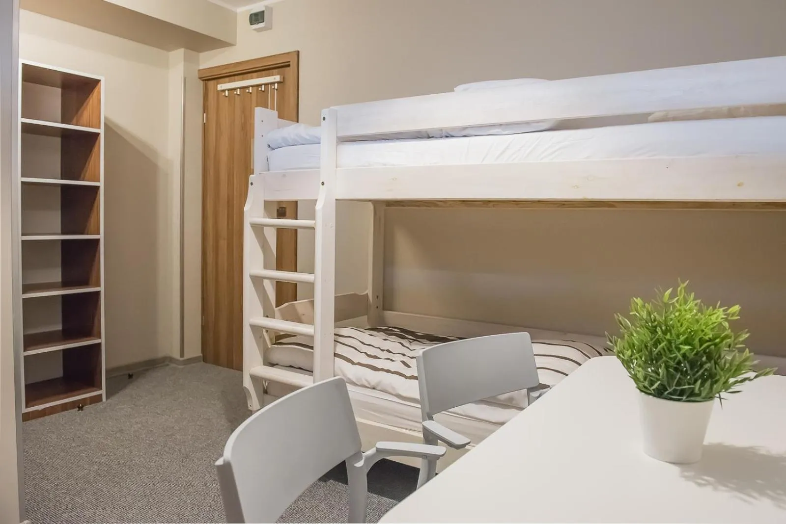 bunk bed in B&M Guesthouse