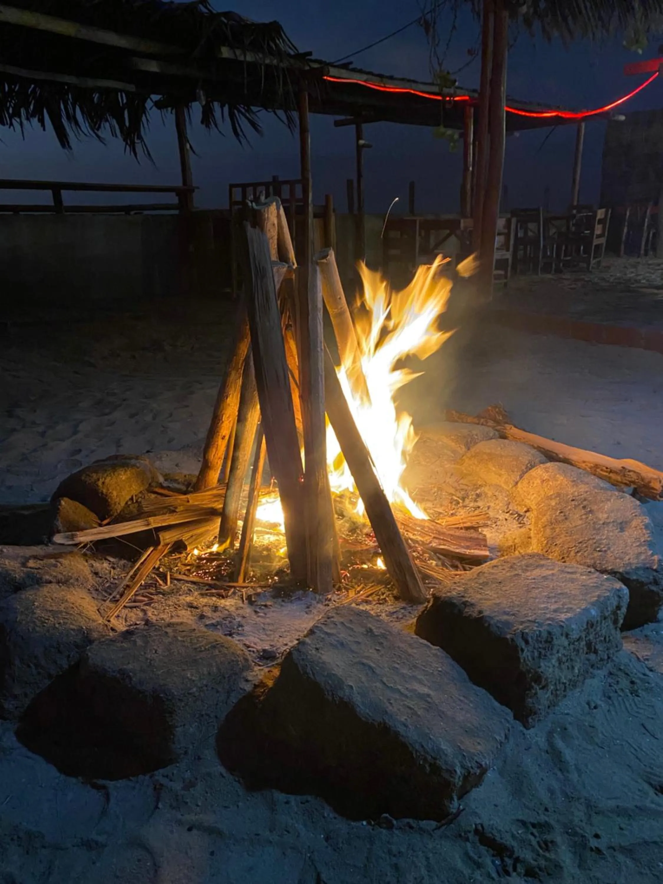 Garden in Blue Ocean