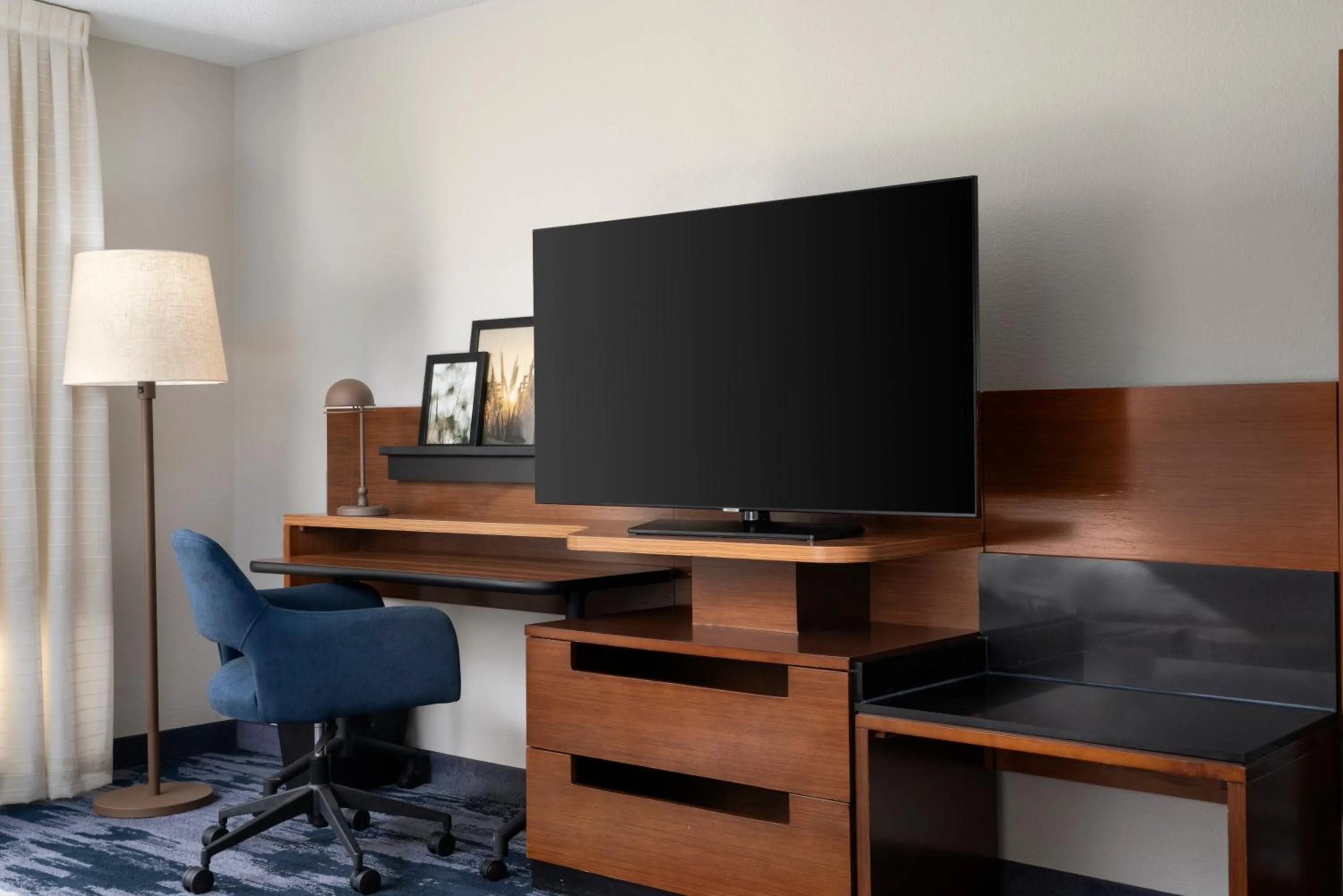 TV and multimedia in Fairfield Inn & Suites by Marriott Chesapeake Suffolk