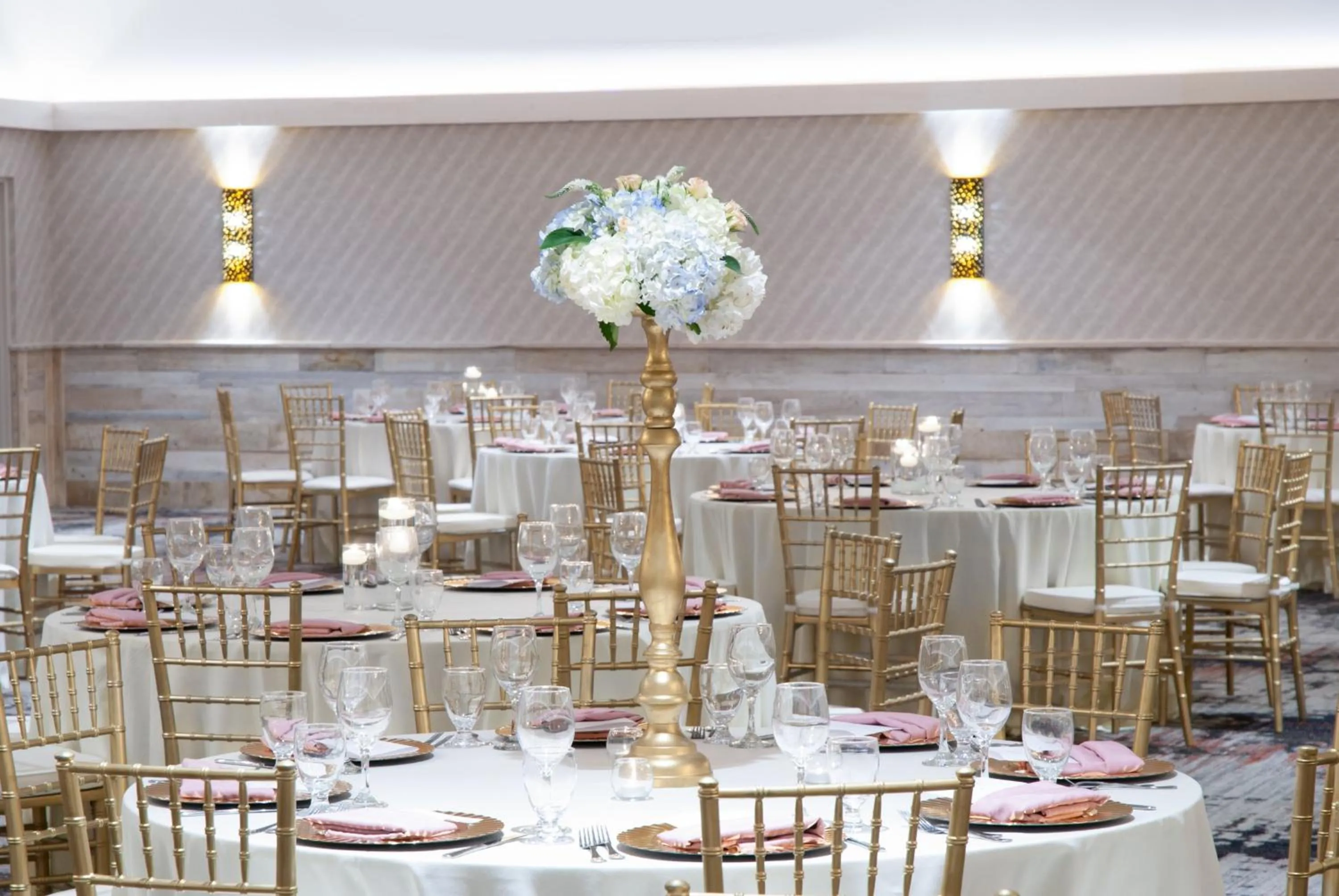 Banquet/Function facilities in Holiday Inn St Louis SW - Route 66 by IHG