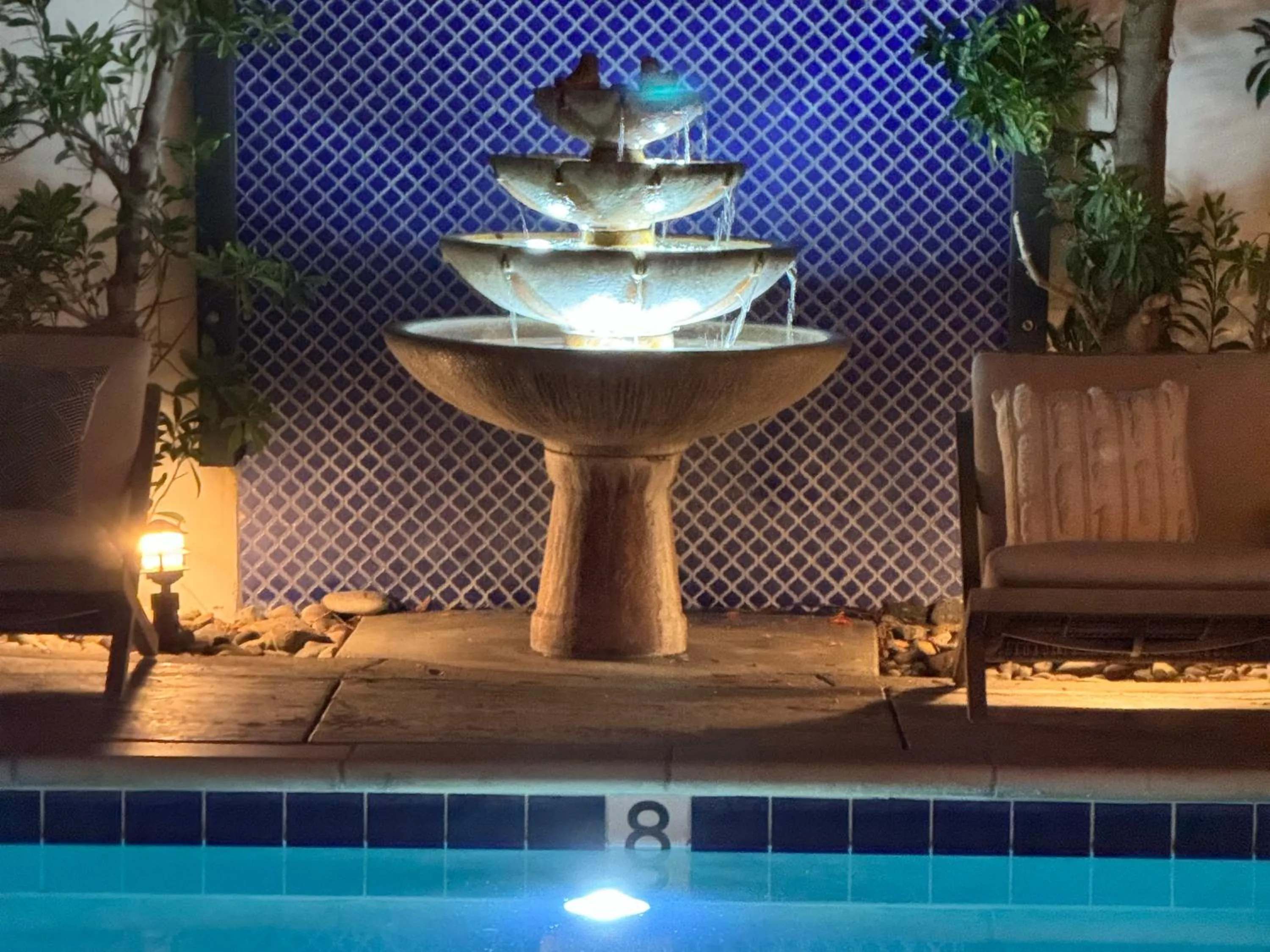 Garden in Lucille Palm Springs