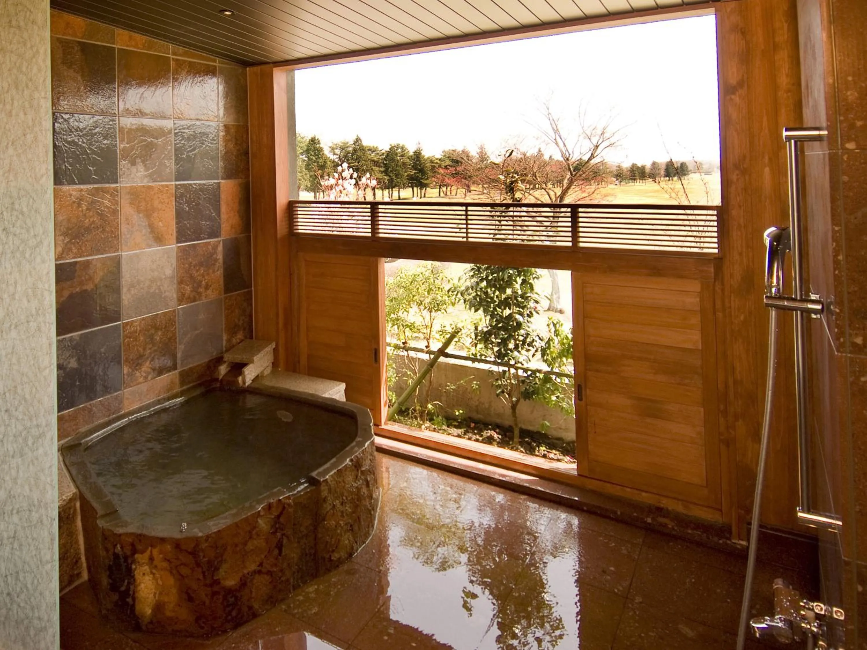Hot Spring Bath in Wellness Forest Nasu