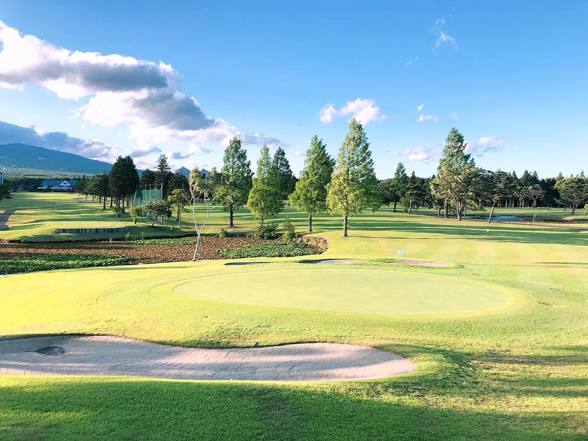 Day in Wellness Forest Nasu