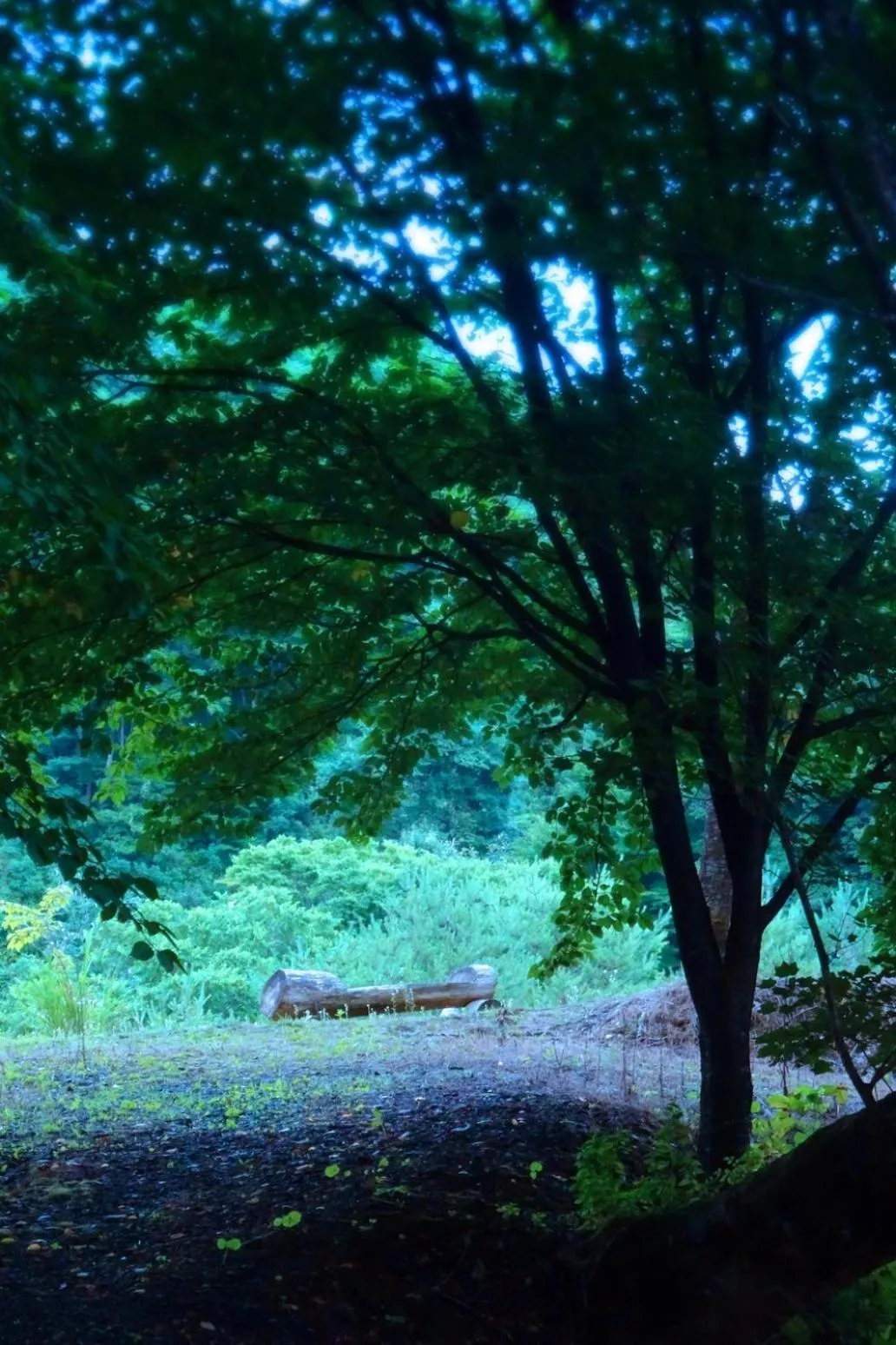 Property building in Sannouzan Onsen Zuisenkyo