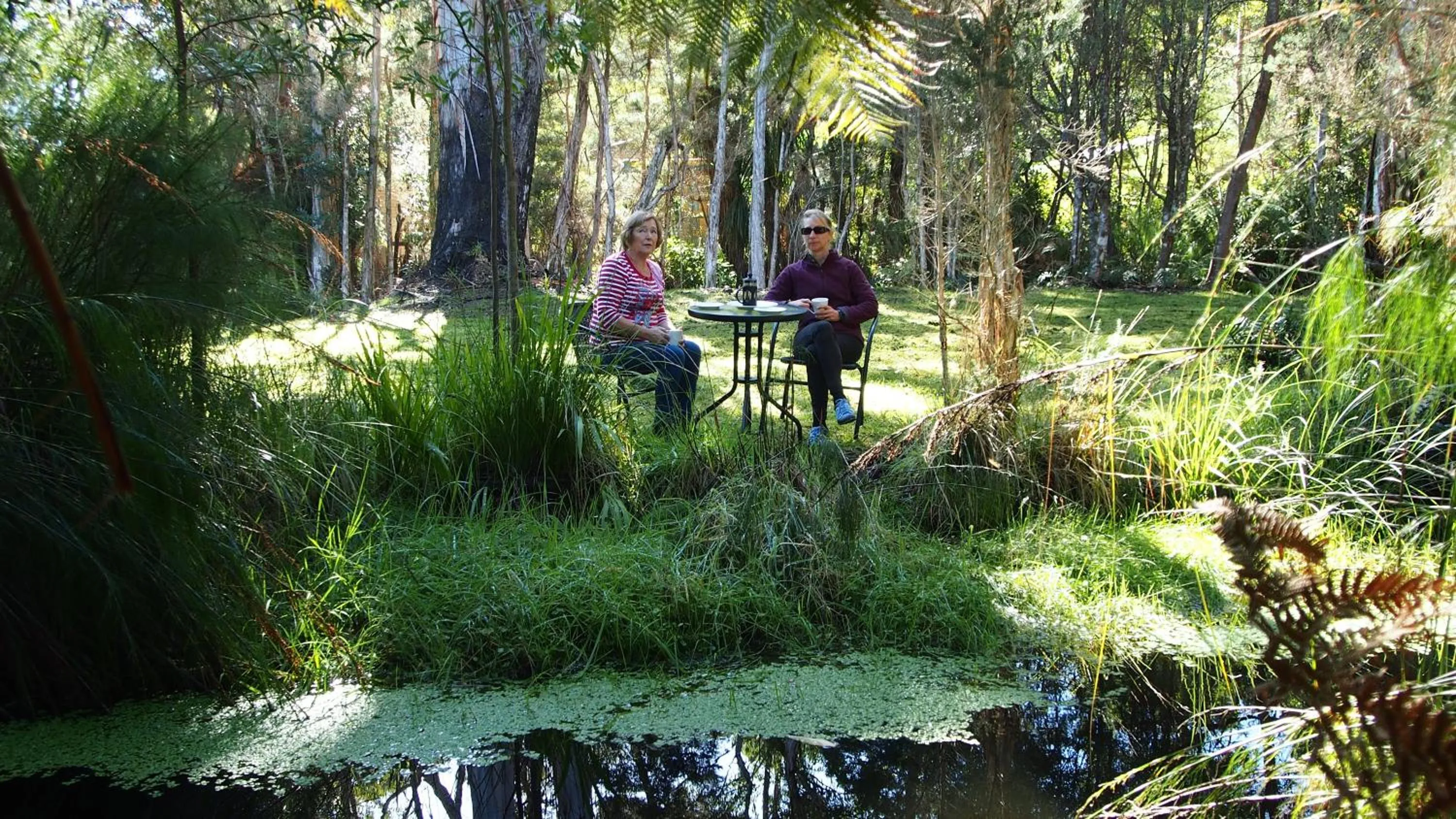 Natural landscape in BIG4 Strahan Holiday Retreat