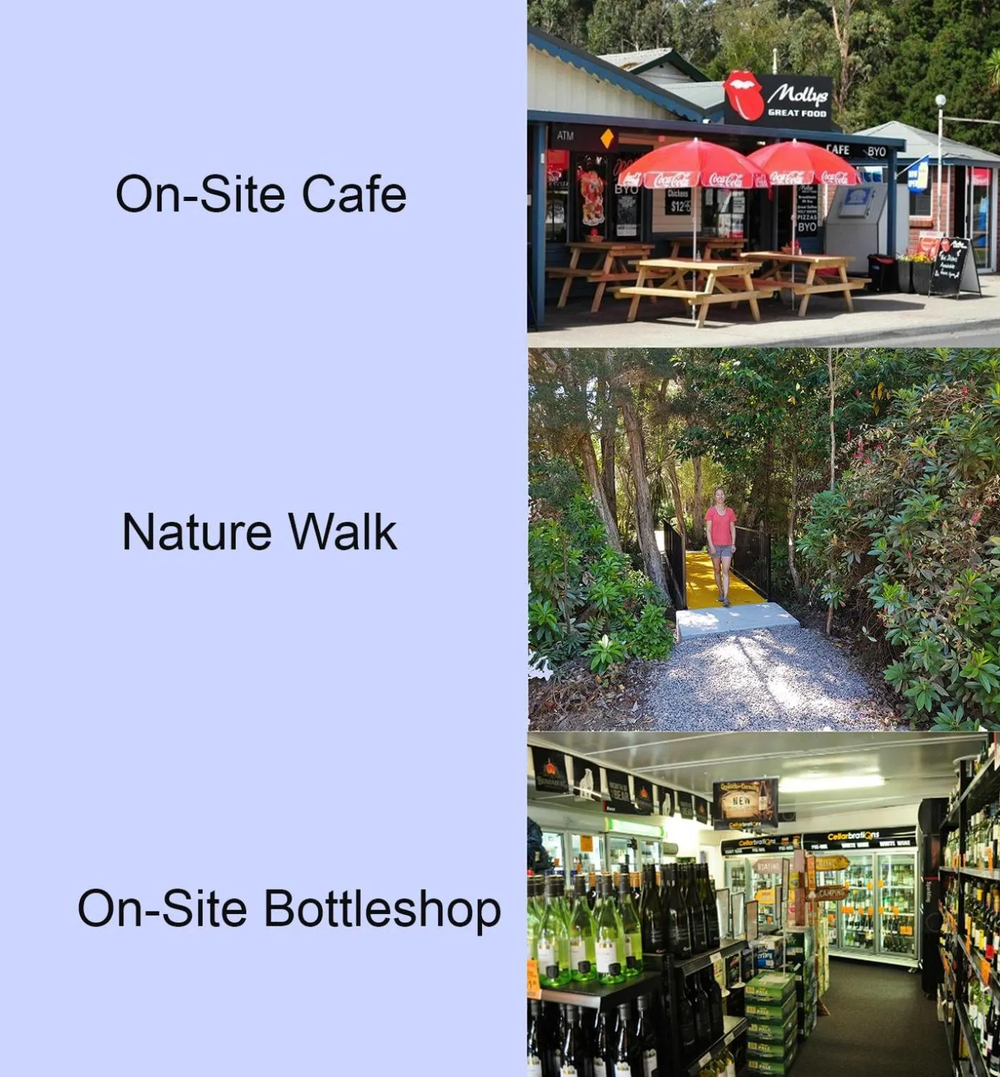 Garden in BIG4 Strahan Holiday Retreat