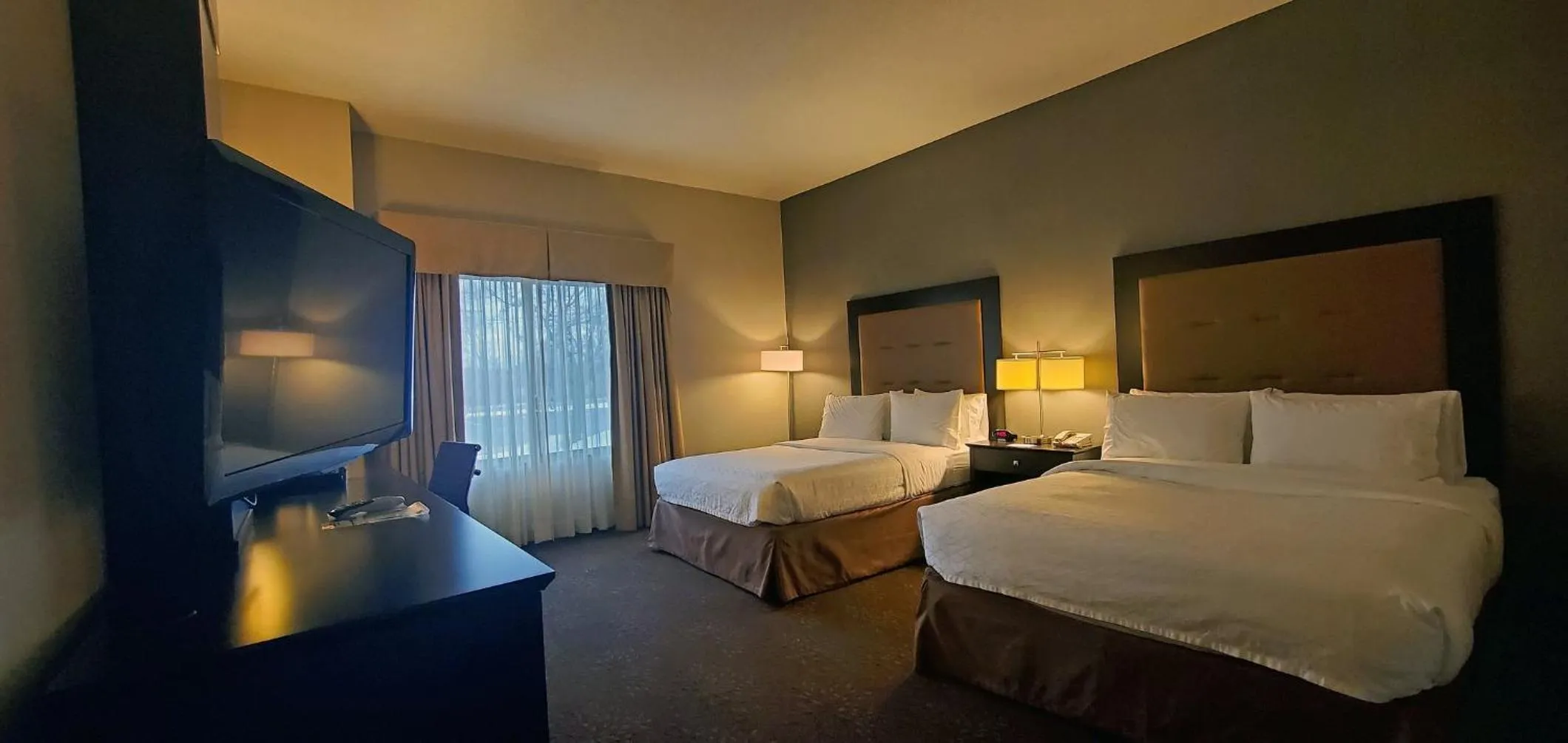 Photo of the whole room, Bed in Holiday Inn Express & Suites Buffalo Airport by IHG