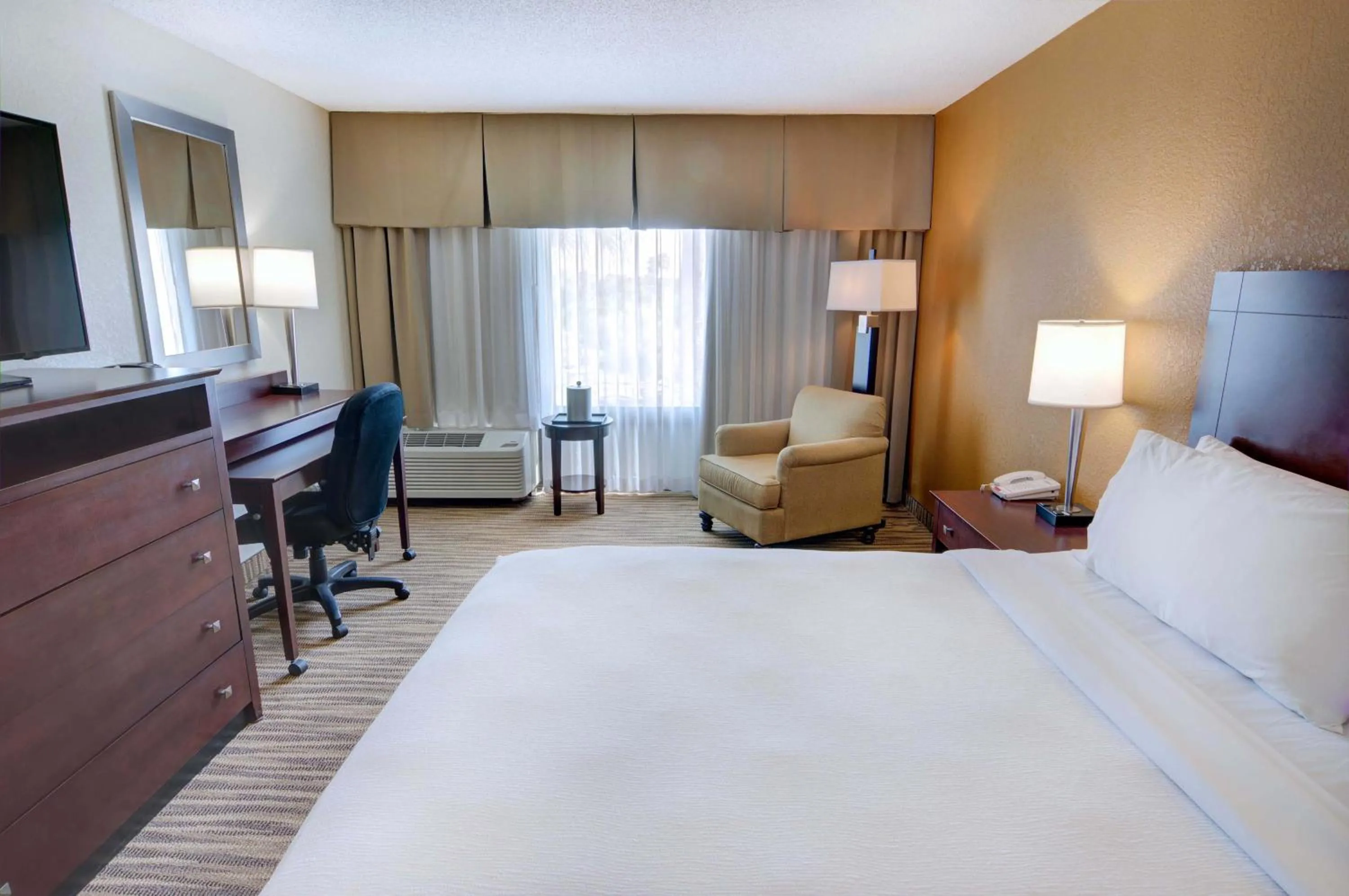 Photo of the whole room, Bed in Holiday Inn St. Petersburg N - Clearwater by IHG
