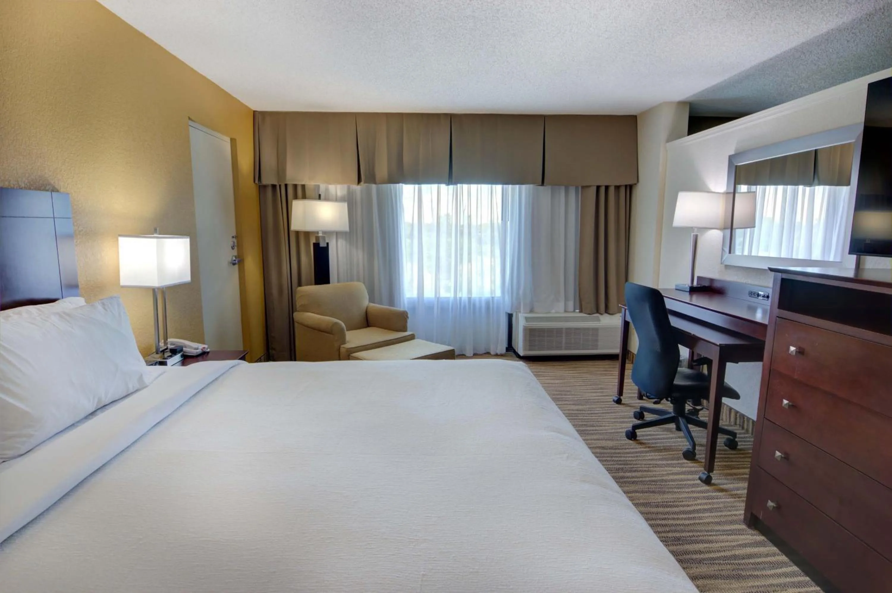 Photo of the whole room, Bed in Holiday Inn St. Petersburg N - Clearwater by IHG