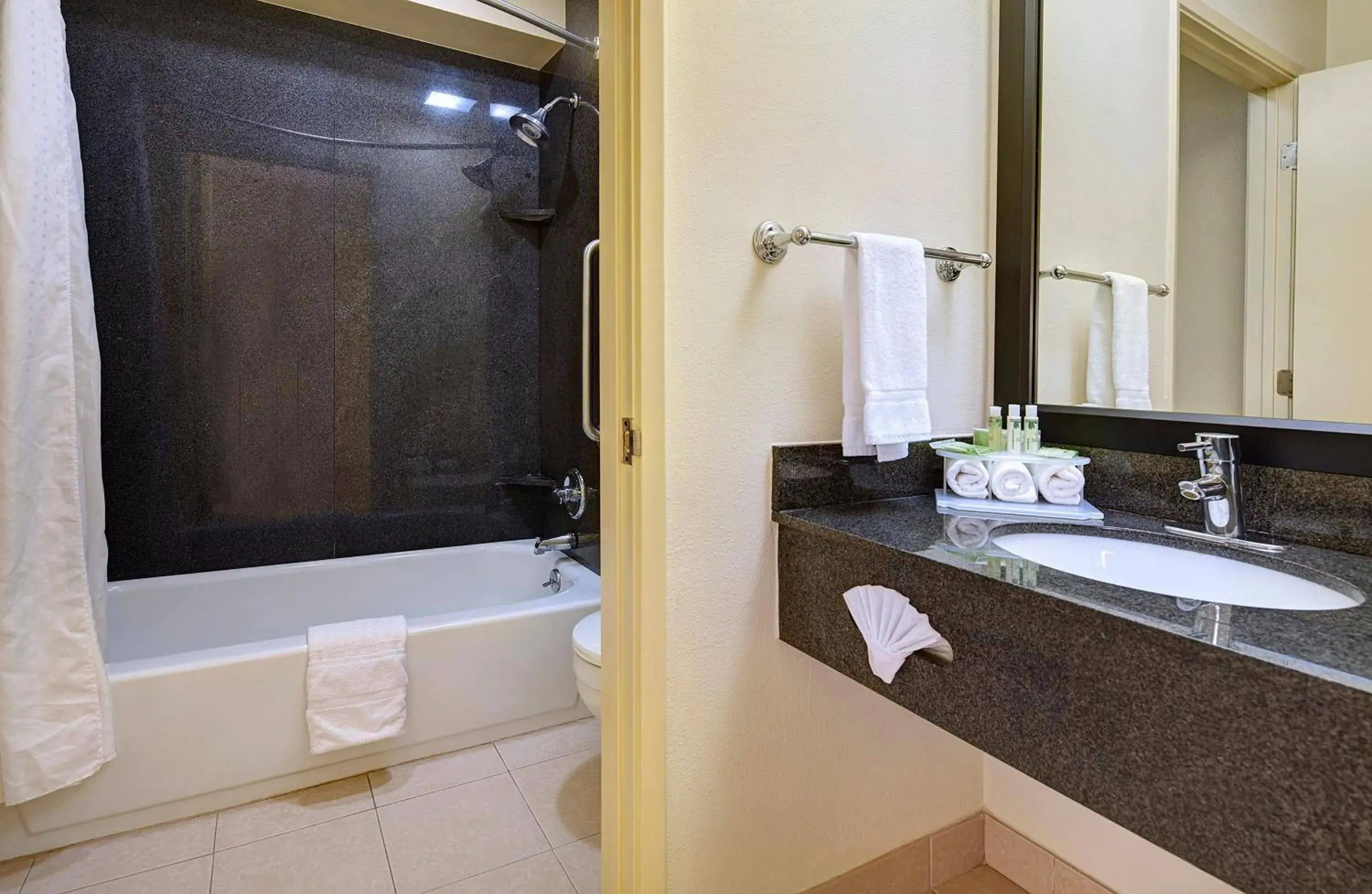 Bathroom in Holiday Inn Express San Diego South - National City by IHG Bathroom in Holiday Inn Express San Diego South - National City by IHG